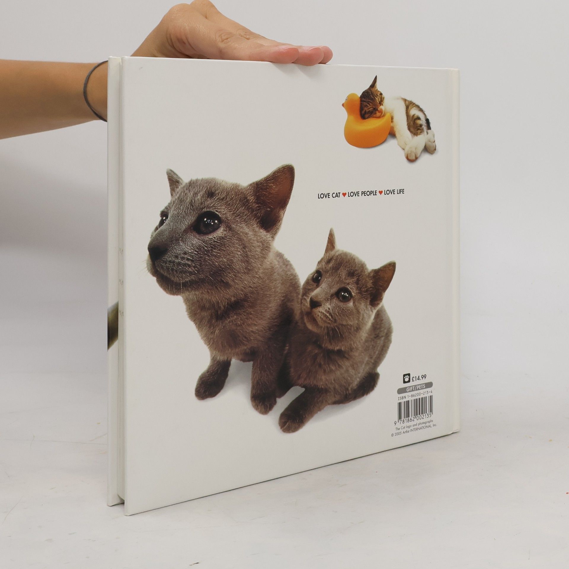 Nueveden The Cat: Artist Collection