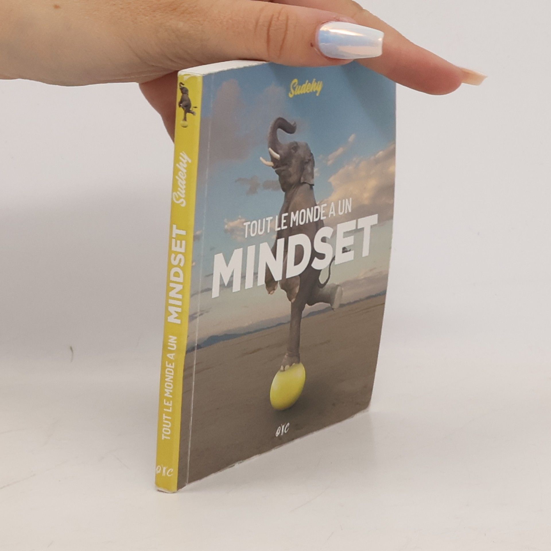 Sudeby Tout le monde a un Mindset