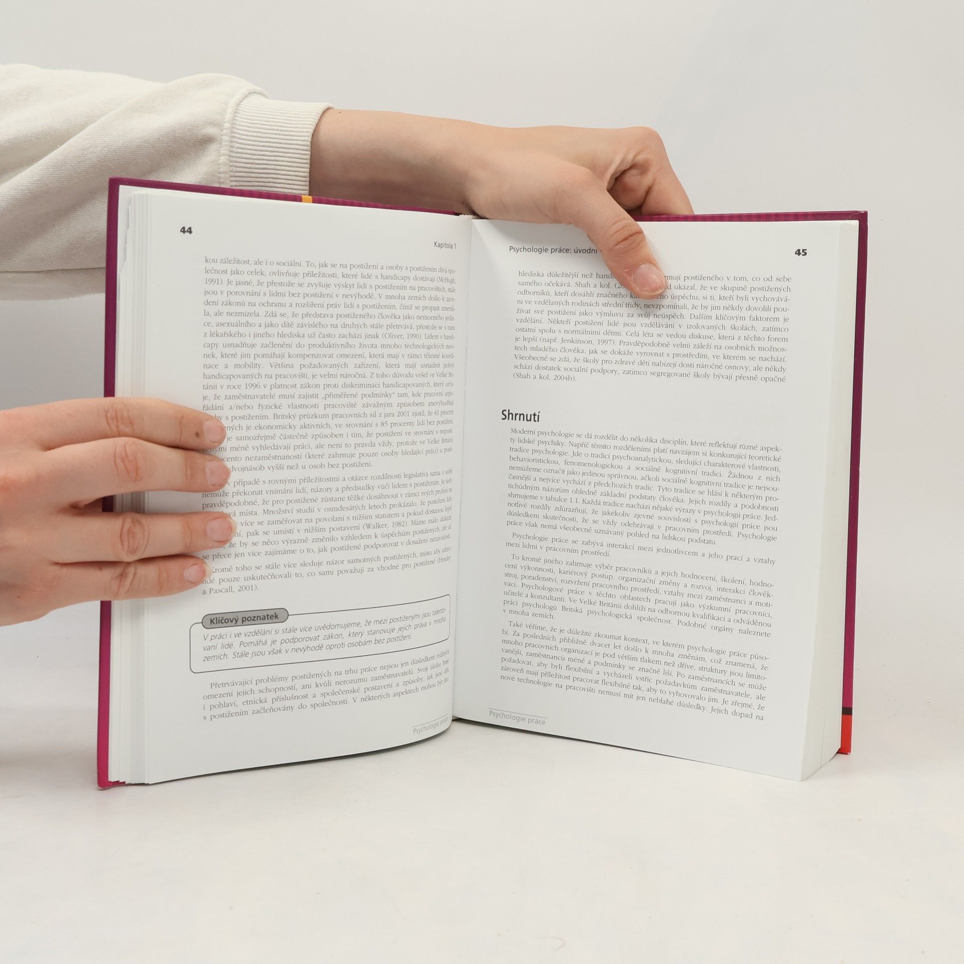Autorenkollektiv Psychologie práce