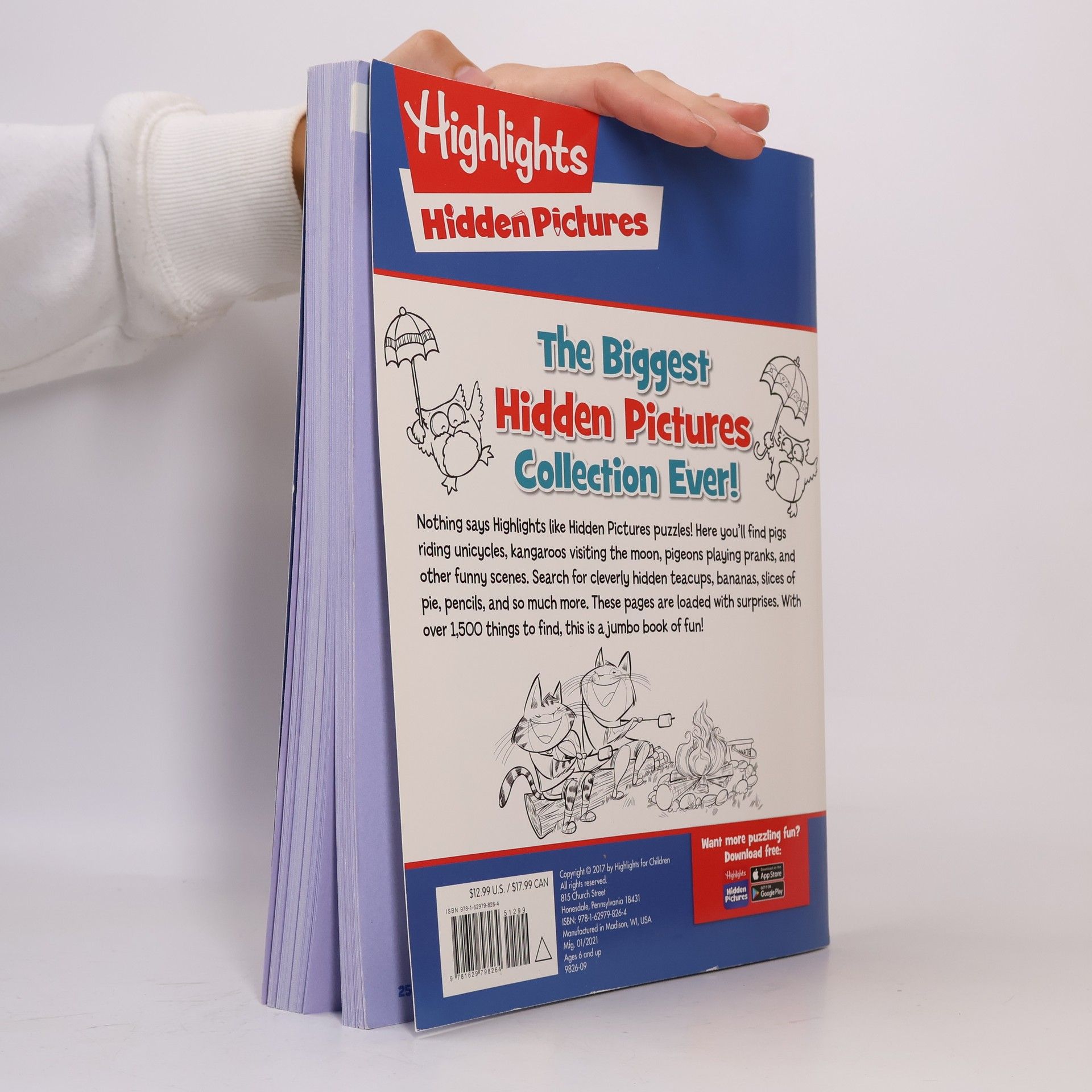 Highlights Press Highlights Jumbo Books & Pads: Jumbo Book of Hidden Pictures