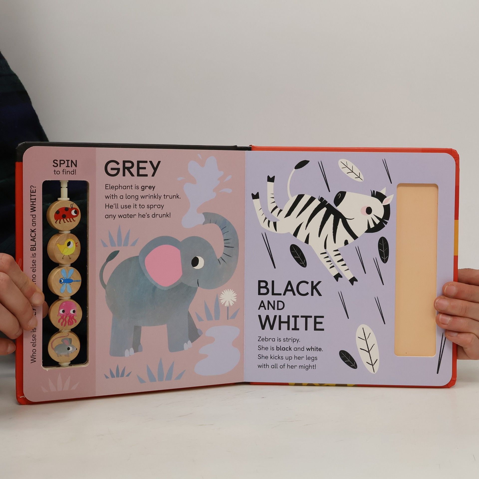 Lauren Crisp Animal World