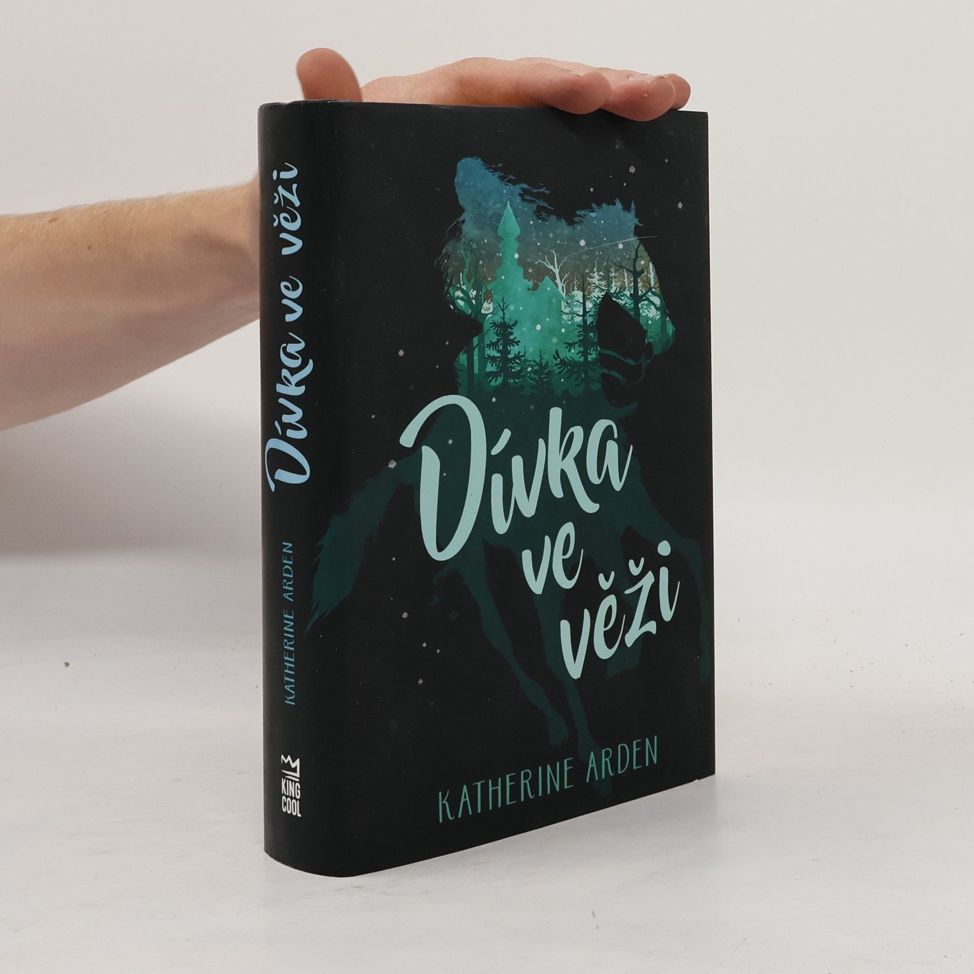 Katherine Arden Dívka ve věži