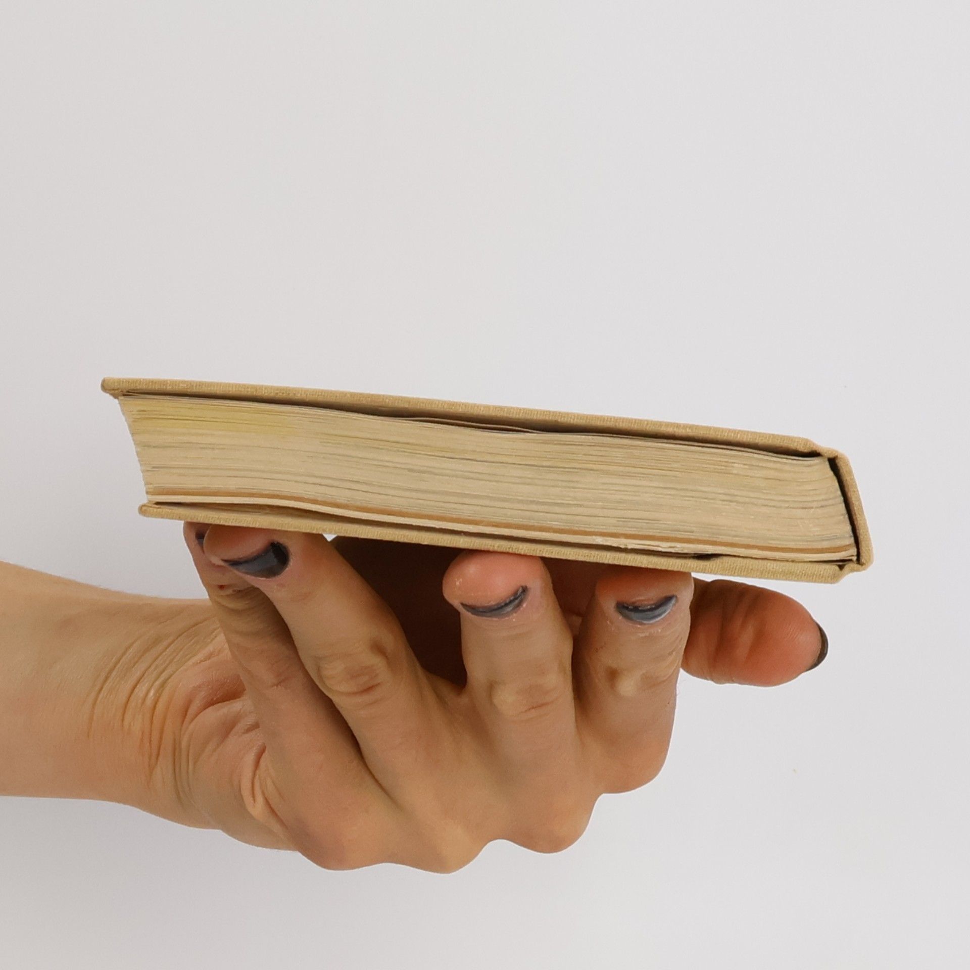 Luis Diego Cuscoy Das Buch von Teneriffa