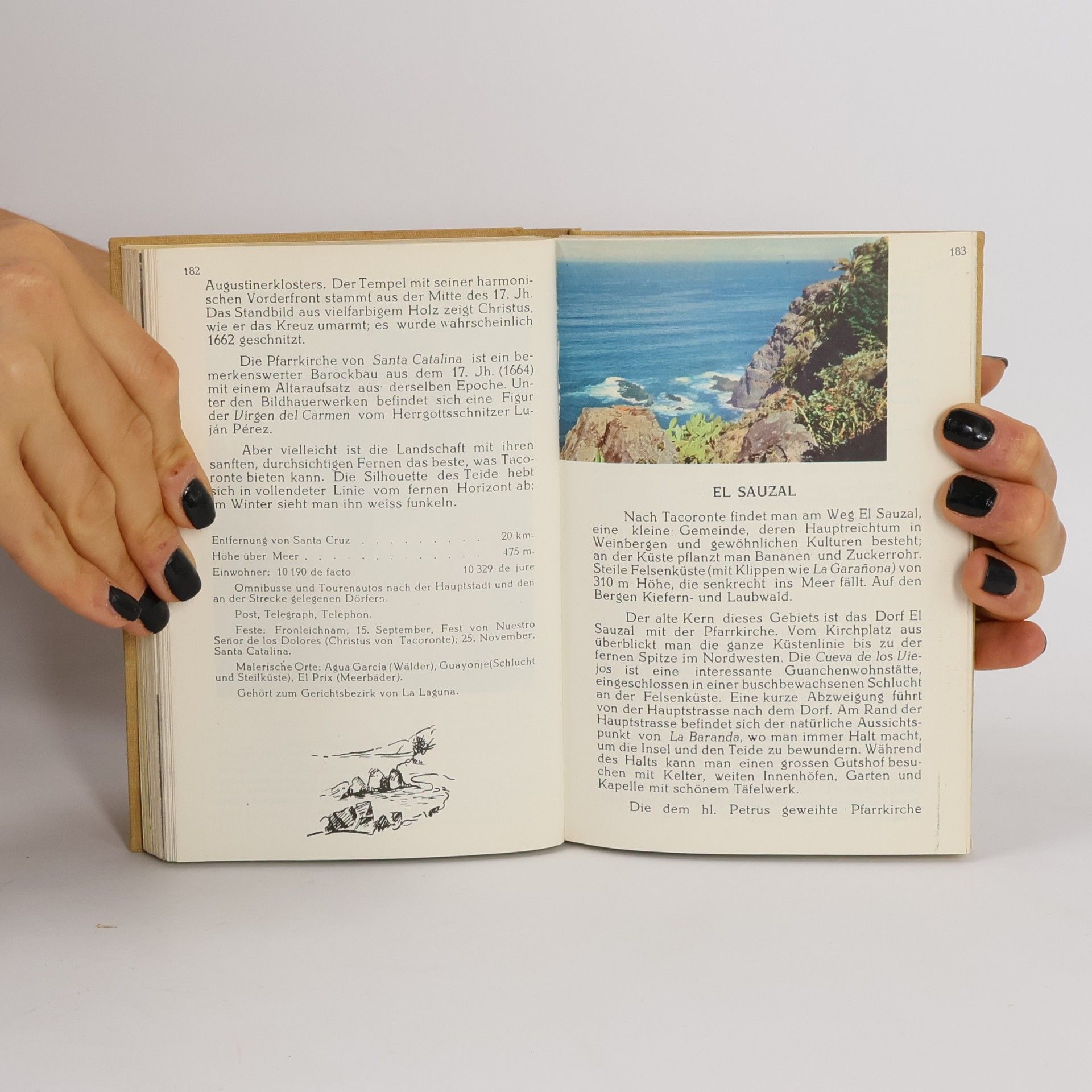 Luis Diego Cuscoy Das Buch von Teneriffa