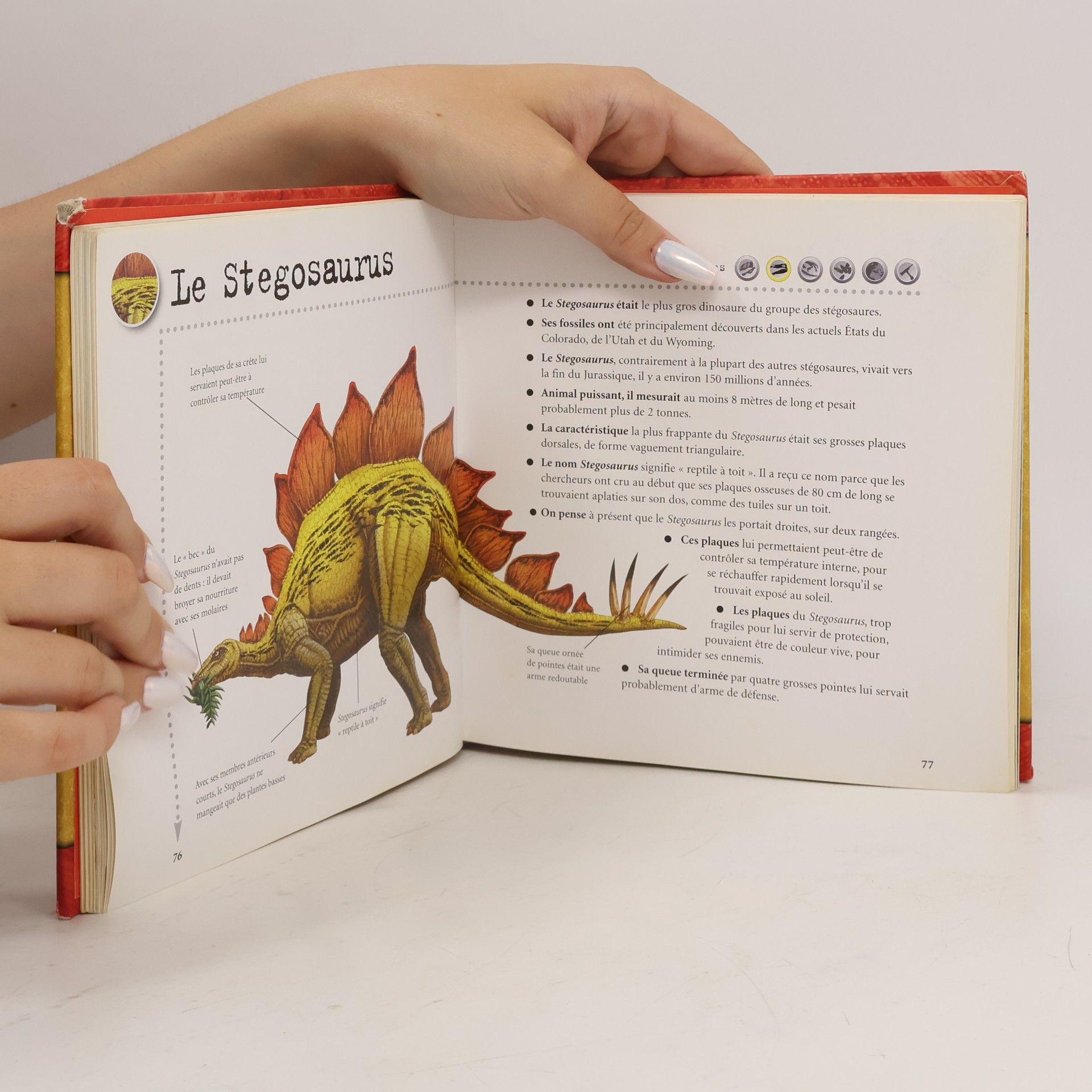 Steve Parker Les dinosaures