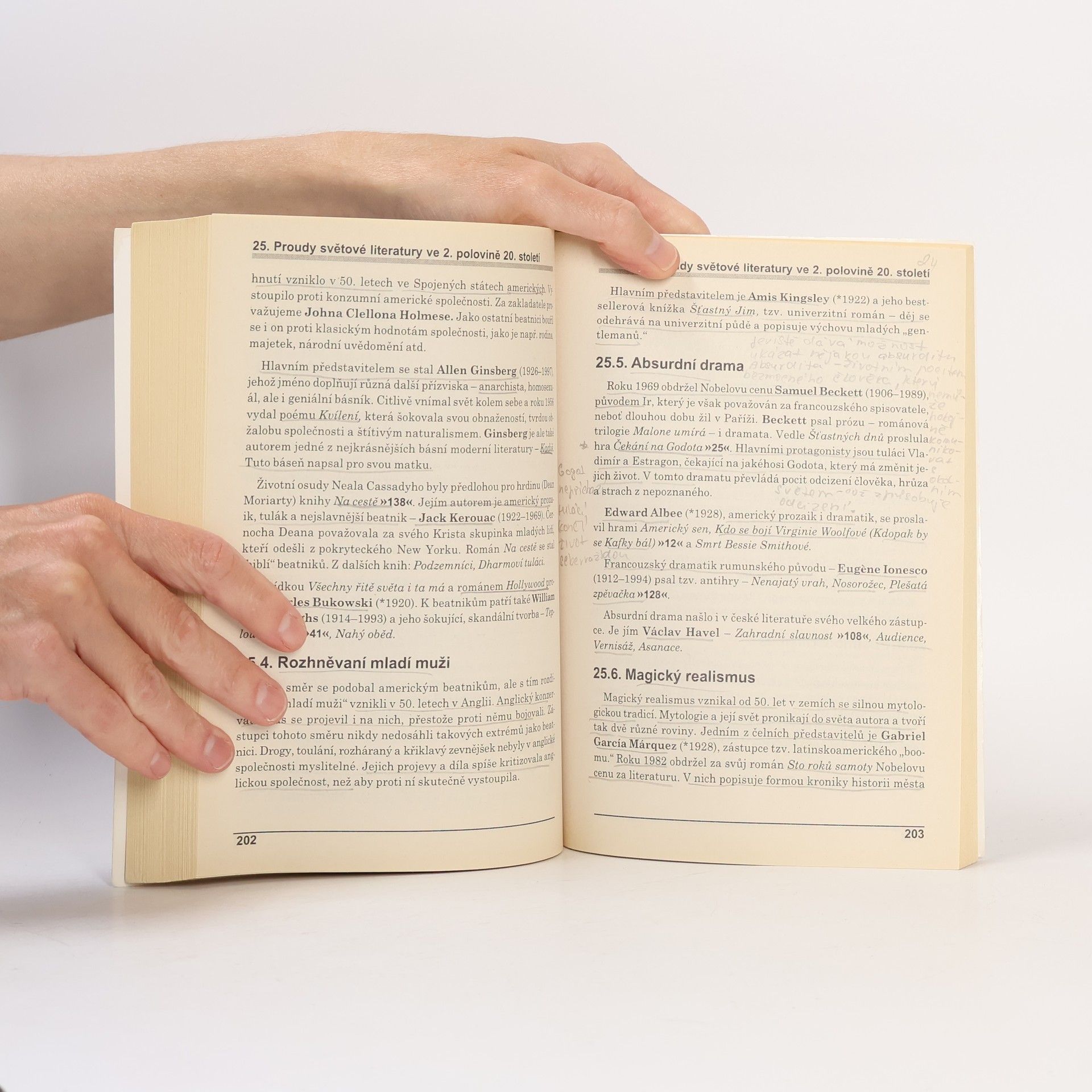 Autores varios Maturitní otázky z češtiny