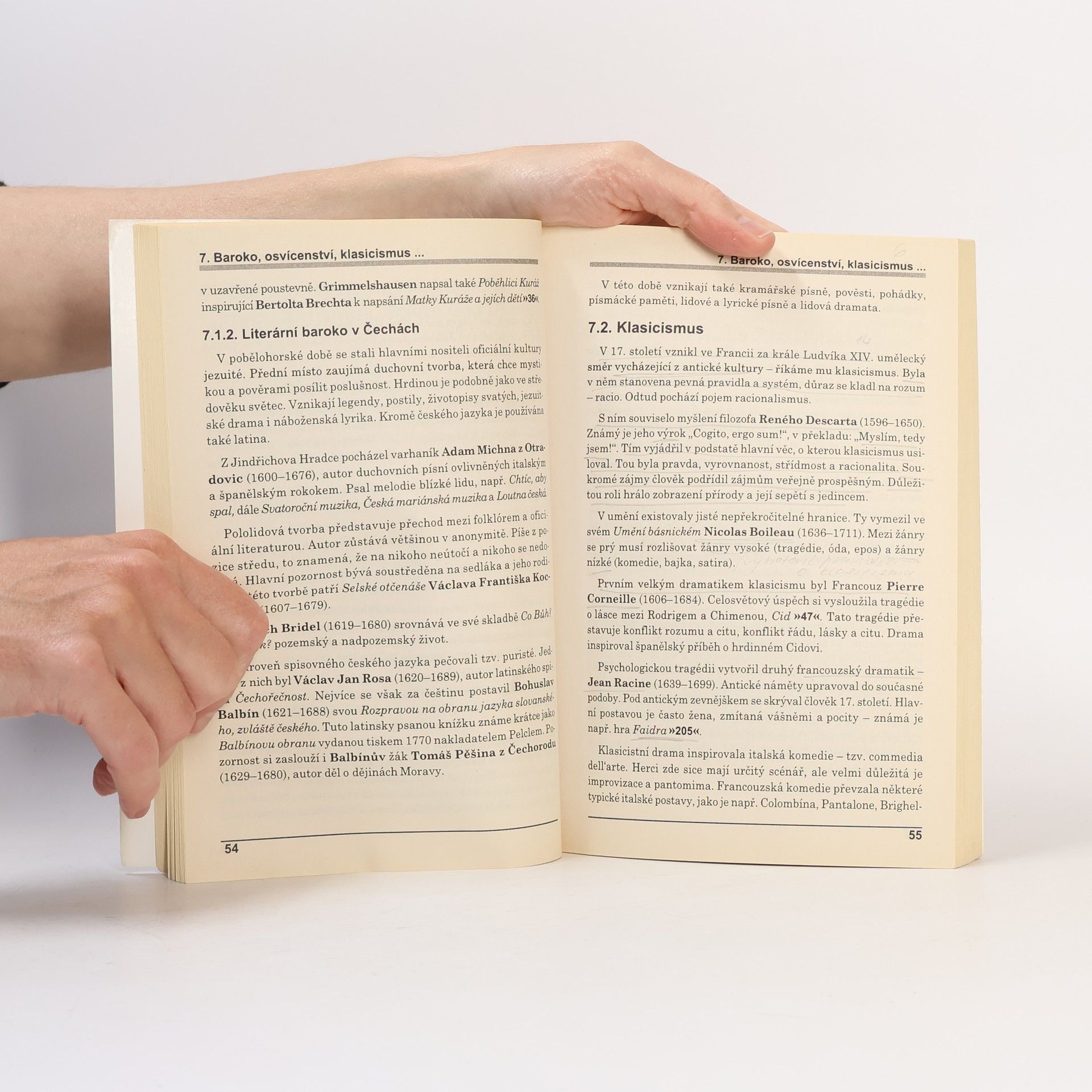 Autores varios Maturitní otázky z češtiny