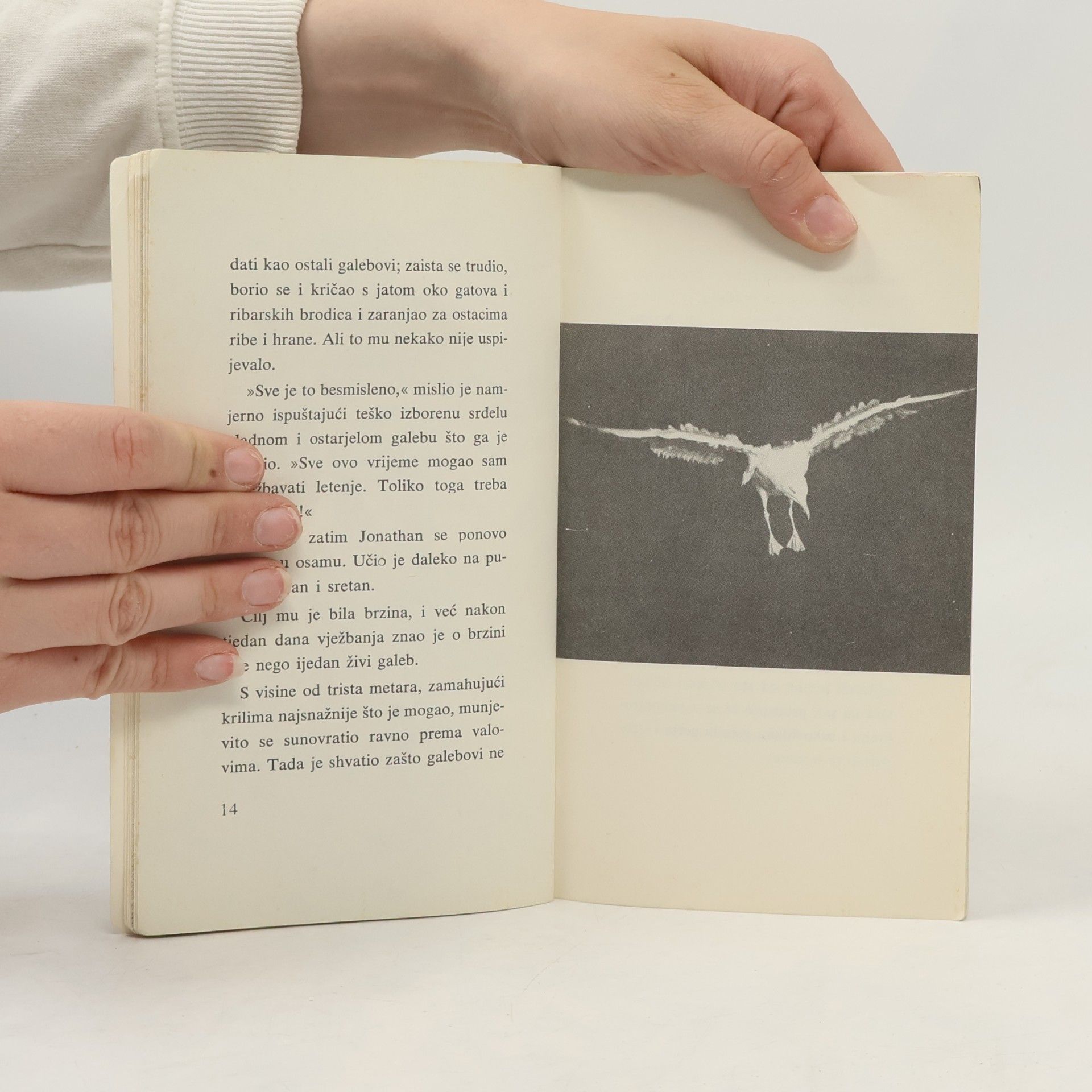 Richard Bach Galeb Jonathan Livingston