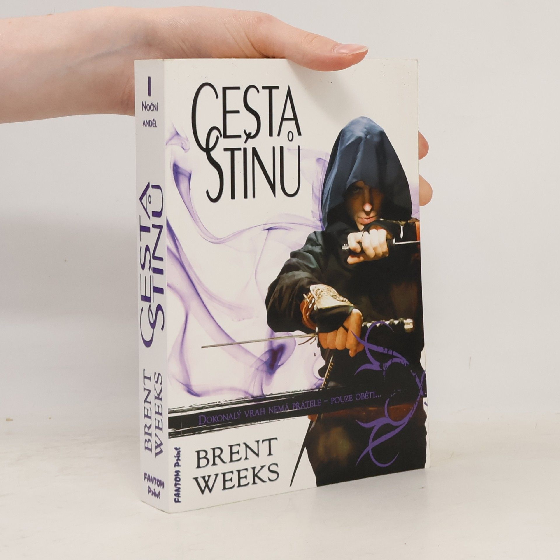 Brent Weeks Cesta stínů
