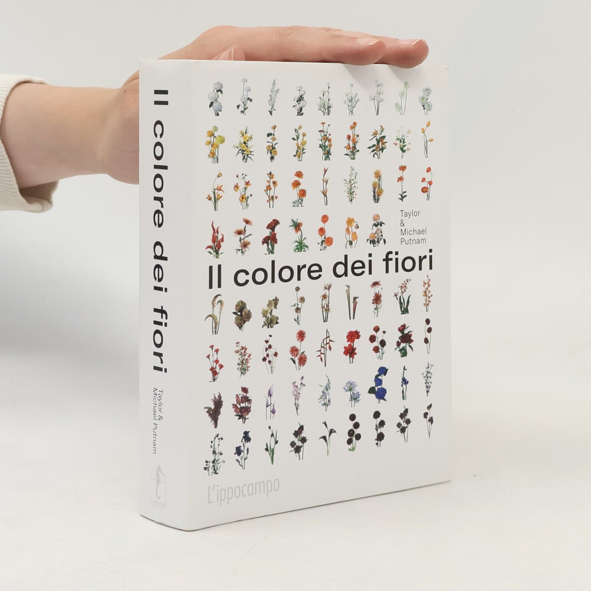 Il colore dei fiori
