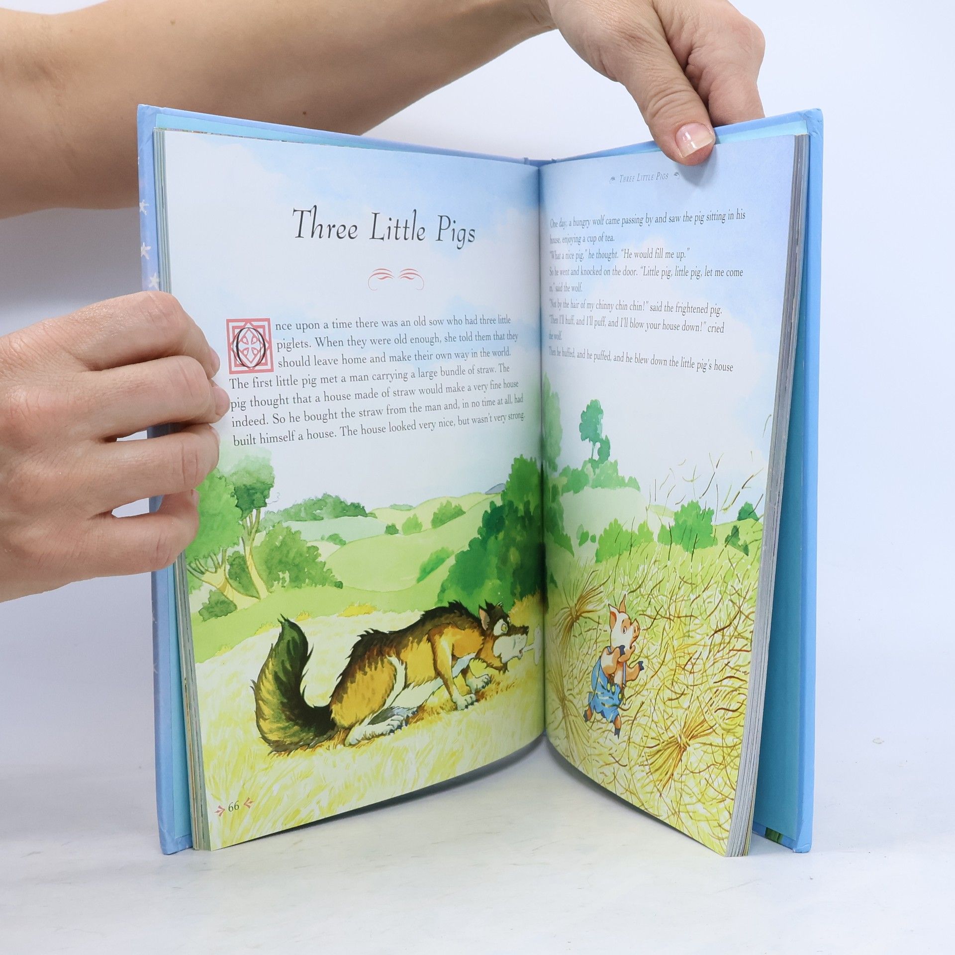Nick Ellsworth Fairytales for Girls