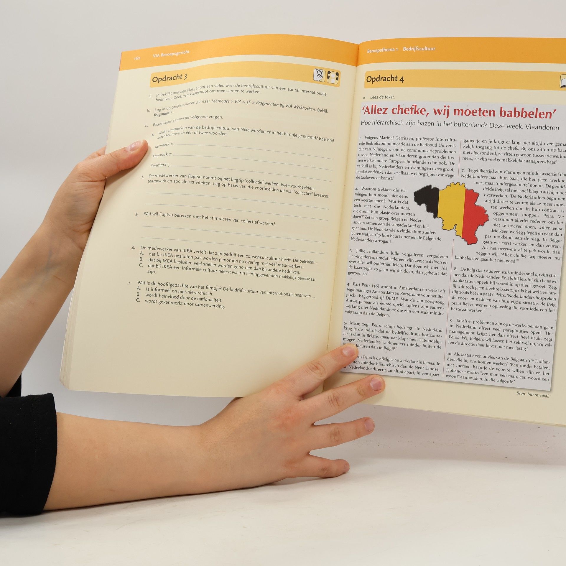 Ruud van den Belt VIA Werkboek 3F Mbo-breed