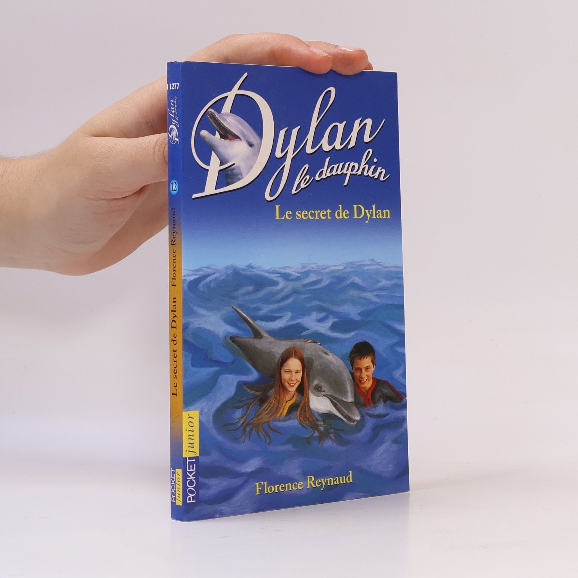 Reynaud Florence Le secret de Dylan