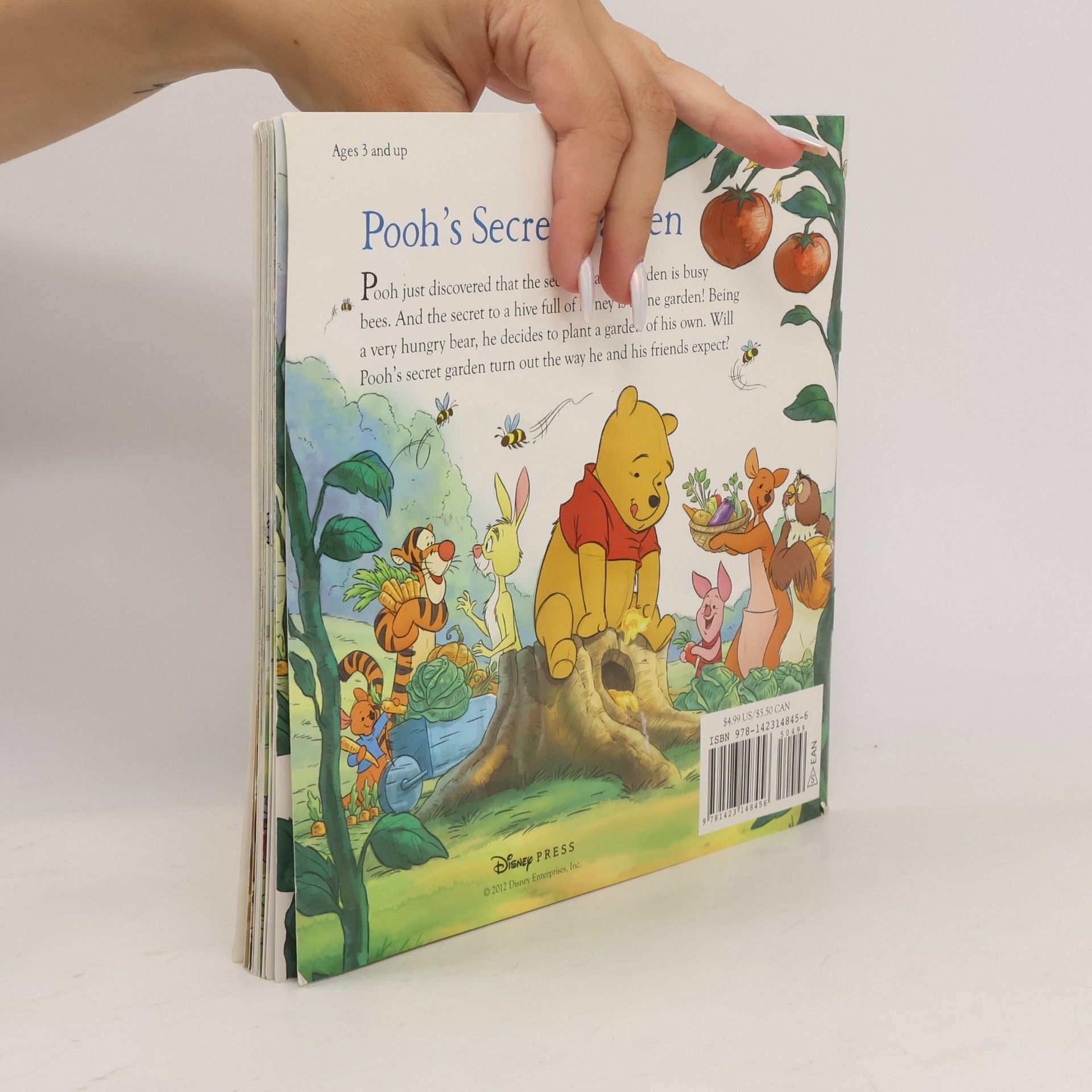 Disney Book Group Winnie the Pooh: Pooh's Secret Garden