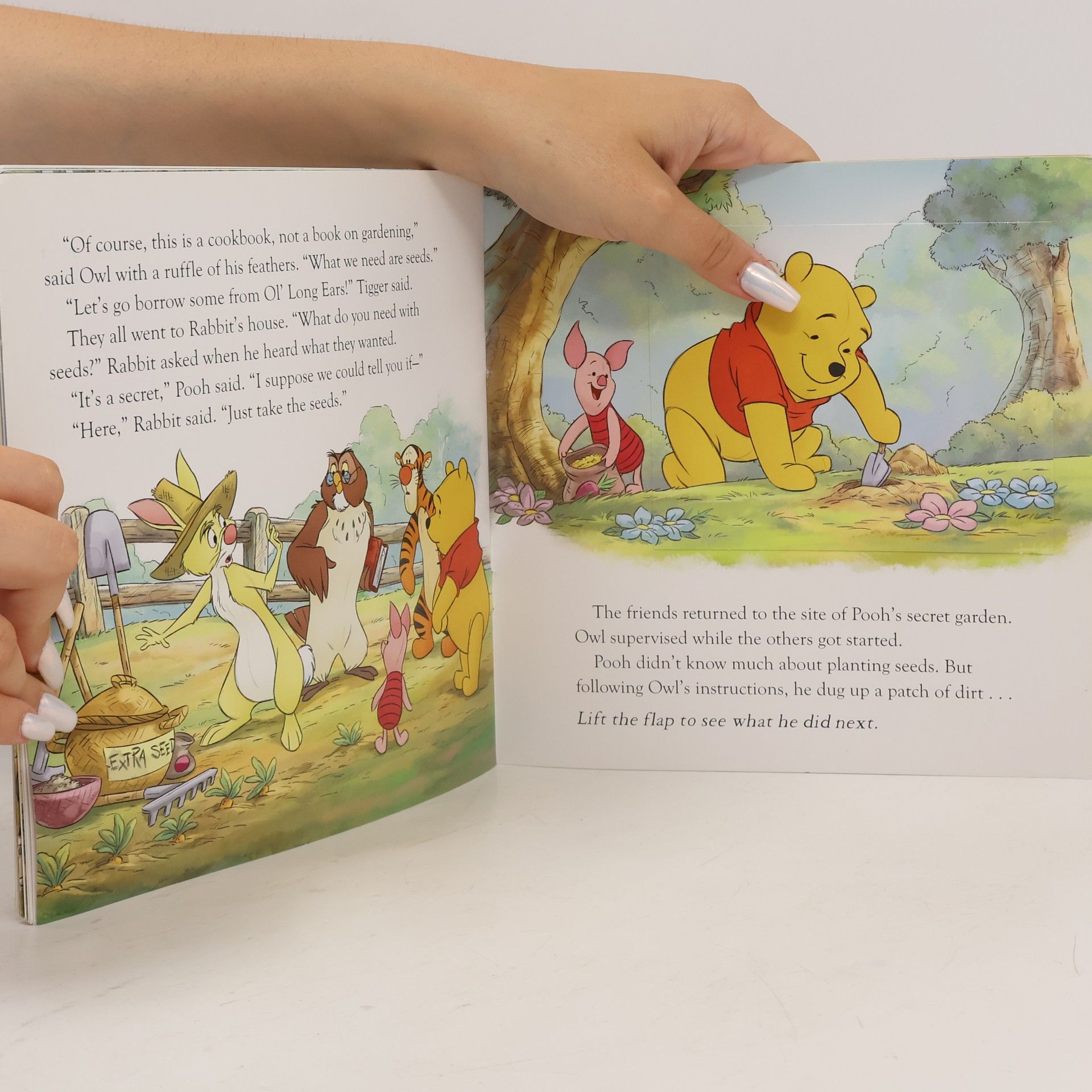 Disney Book Group Winnie the Pooh: Pooh's Secret Garden