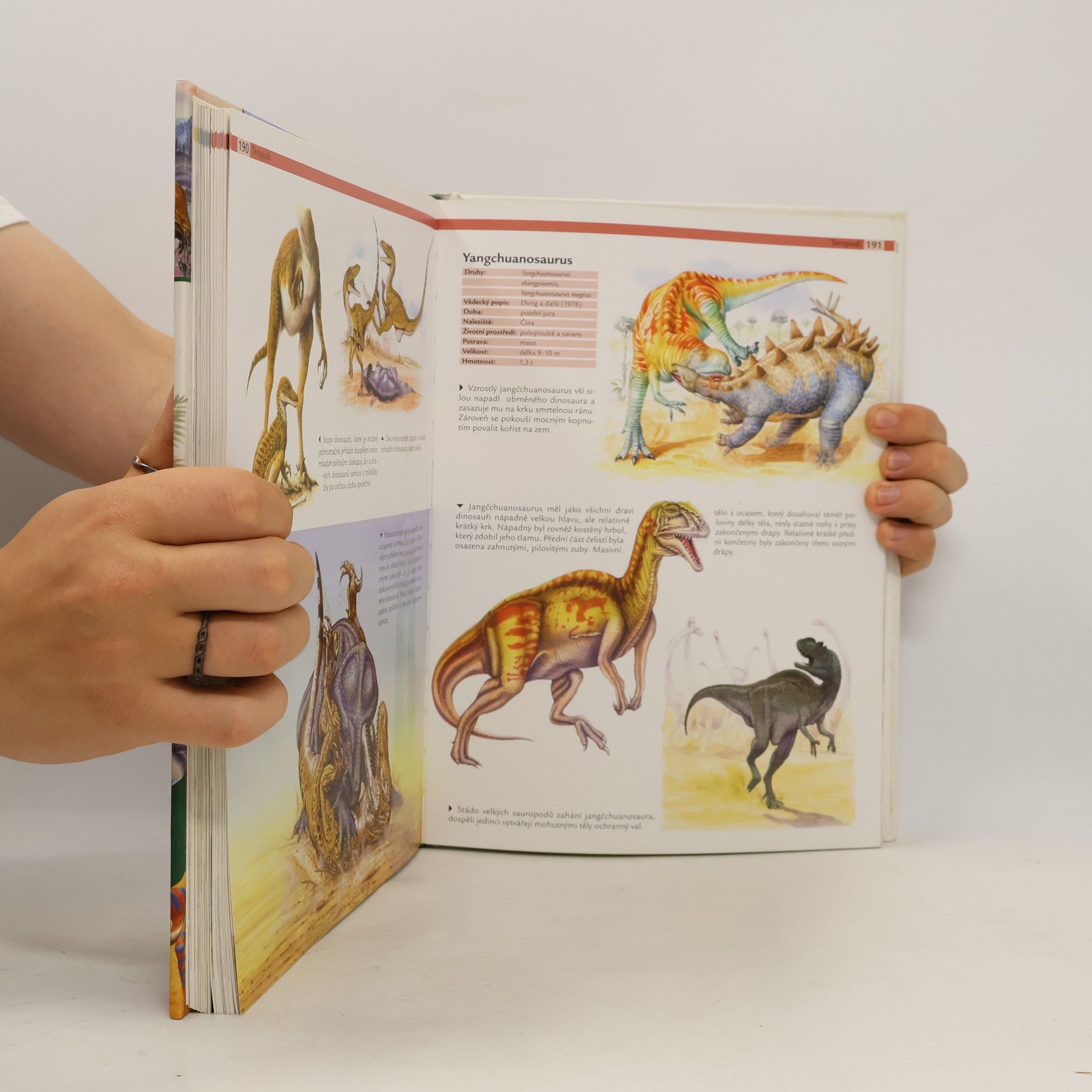 Helmut Werner 1000 dinosaurů