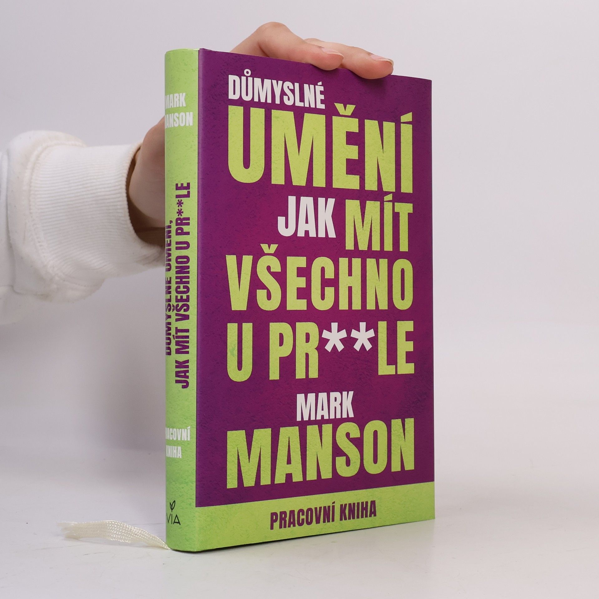Důmyslné umění, jak mít všechno u pr**le. Pracovní kniha