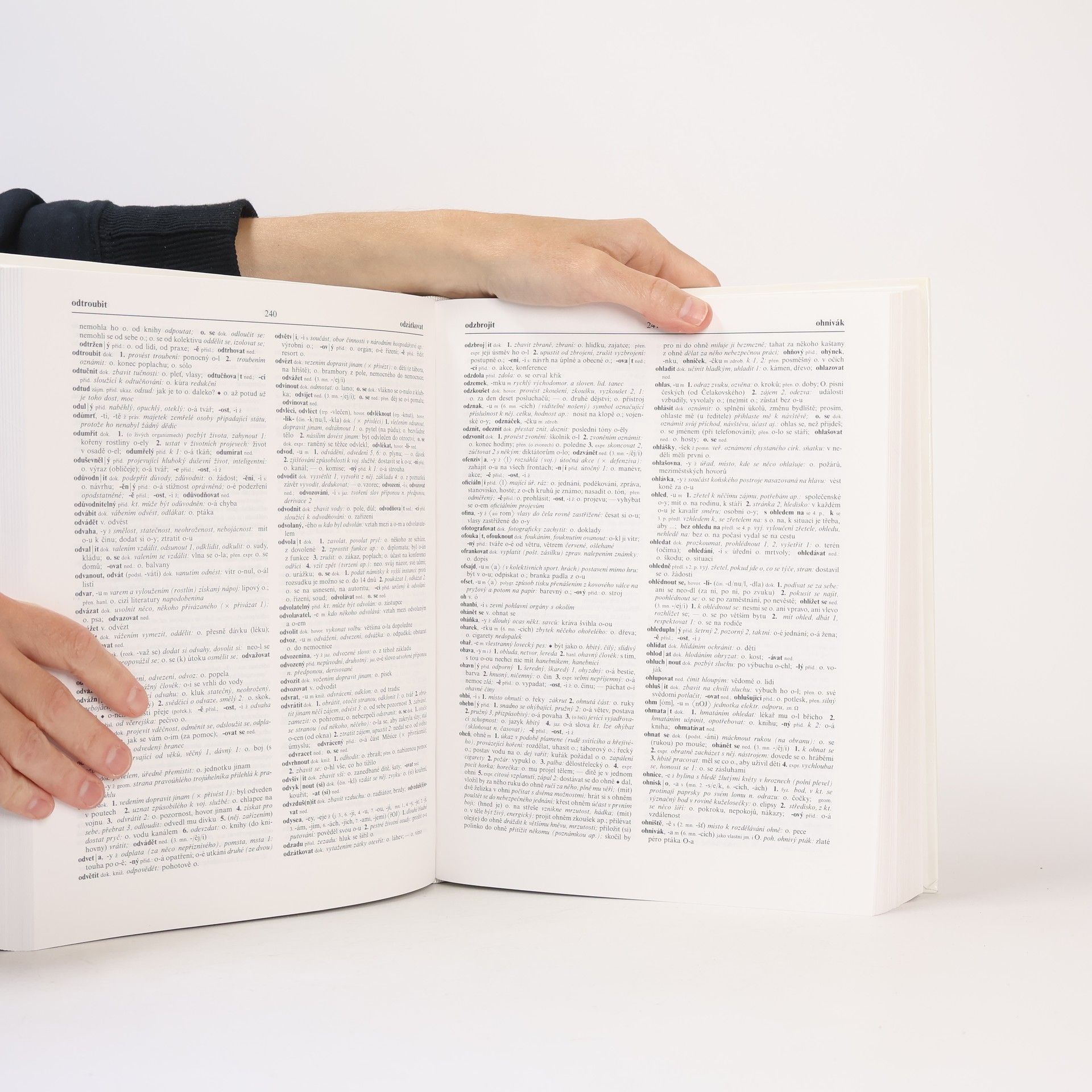 Collectif d'auteurs Slovník spisovné češtiny pro školu a veřejnost