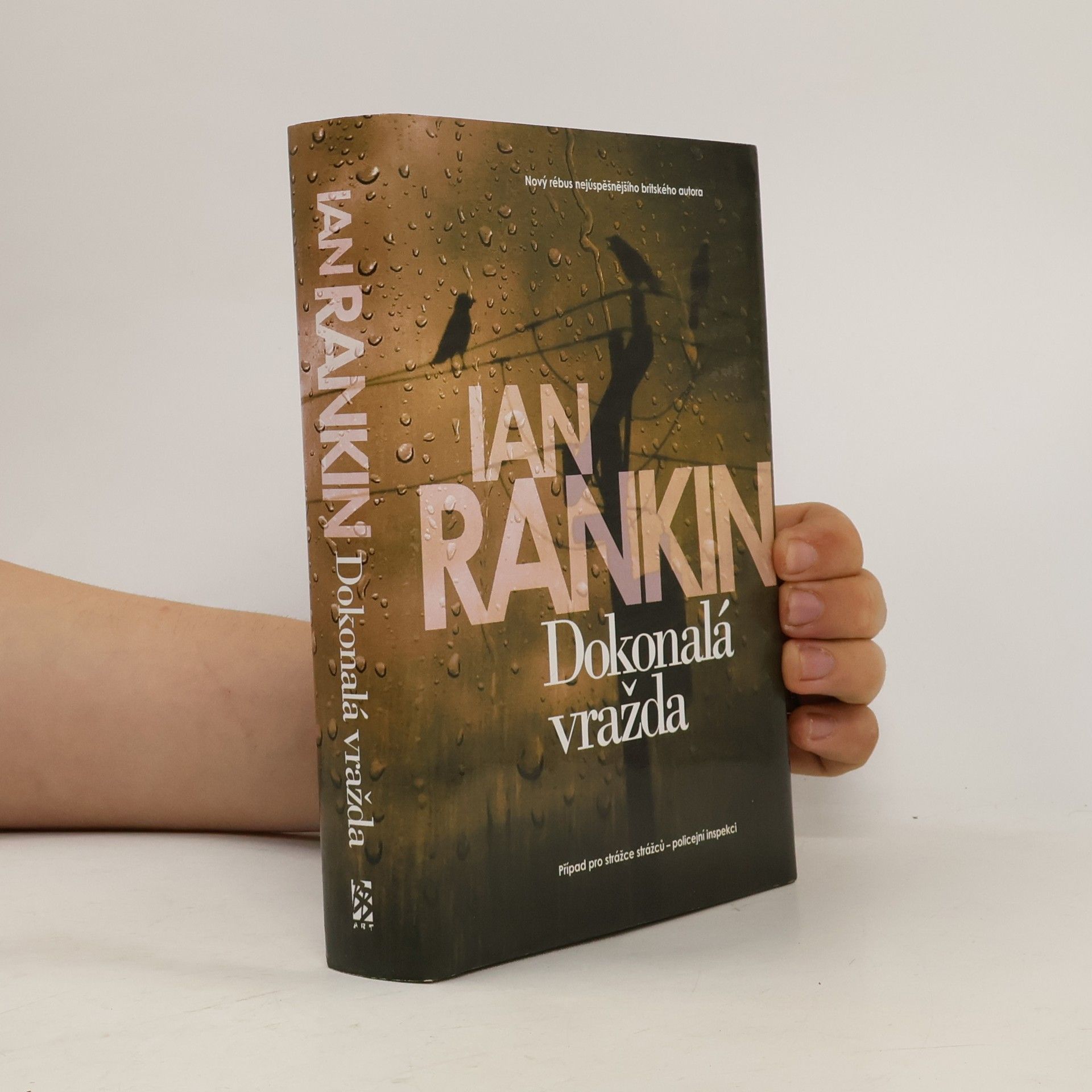 Ian Rankin Dokonalá vražda