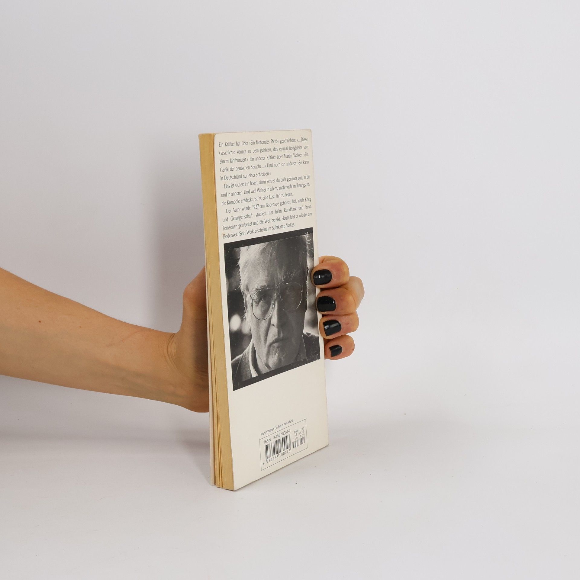 Martin Walser Ein fliehendes Pferd