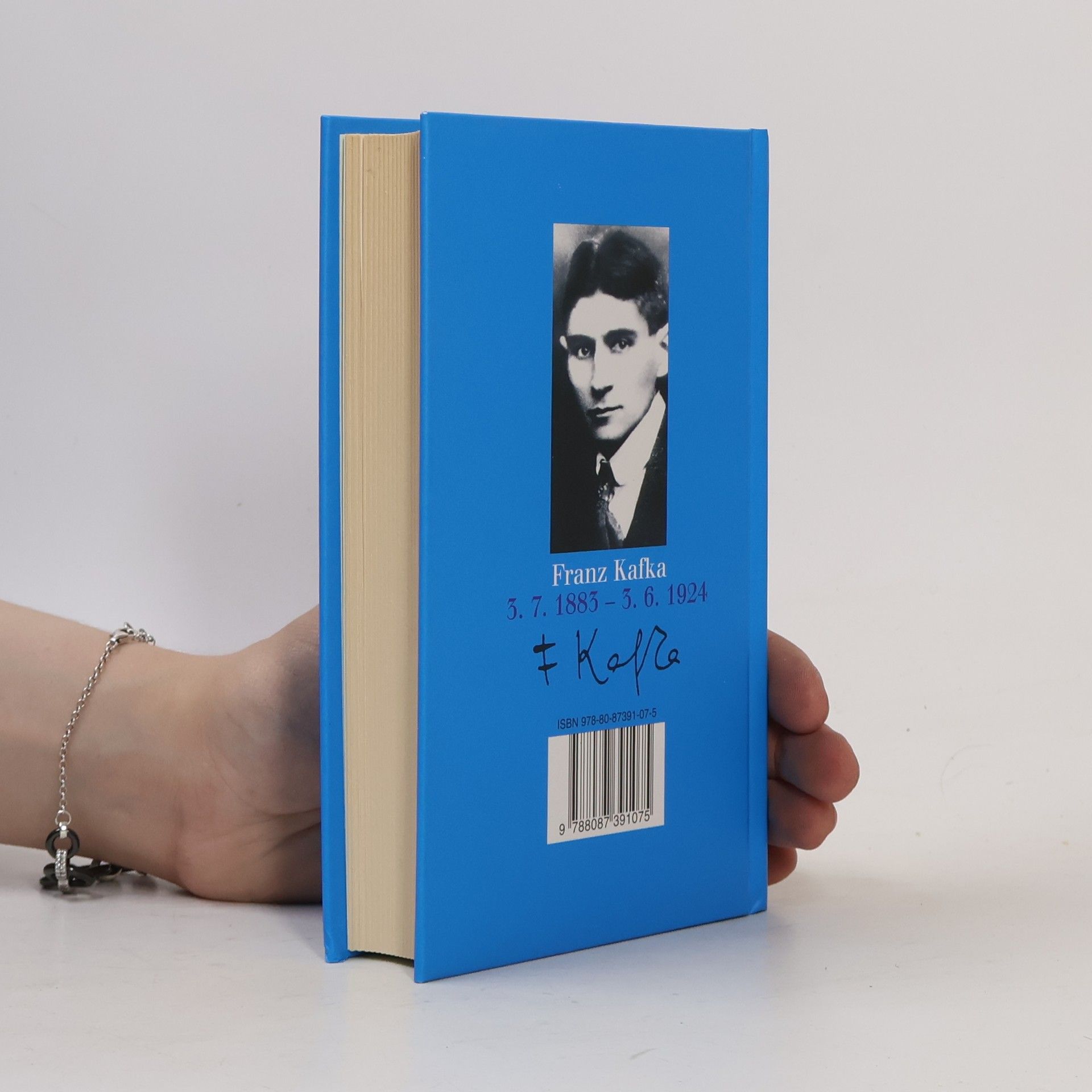Franz Kafka Zámek