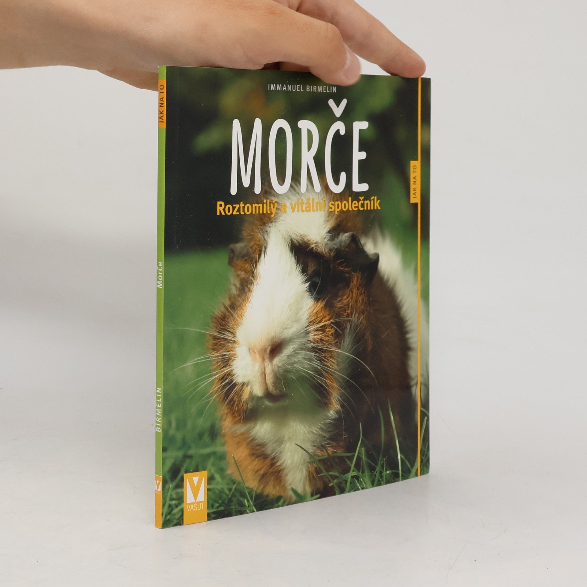 Immanuel Birmelin Morče. Roztomilý a vitální společník