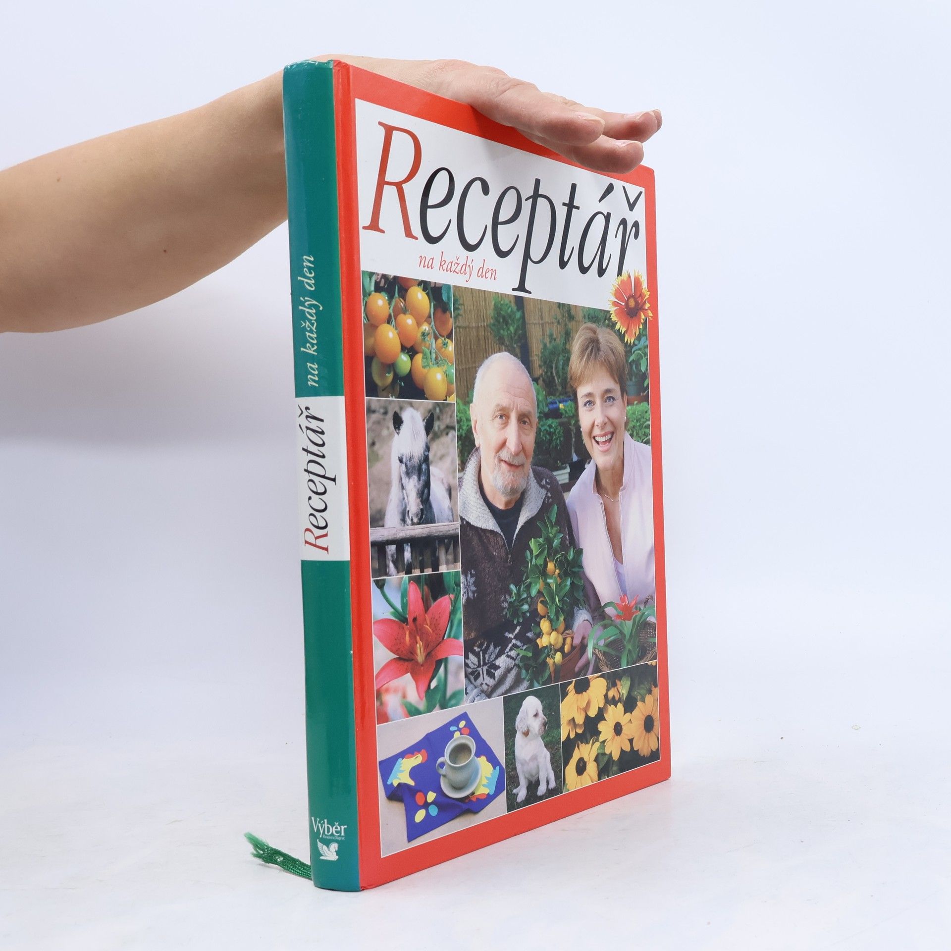 Autores varios Receptář na každý den