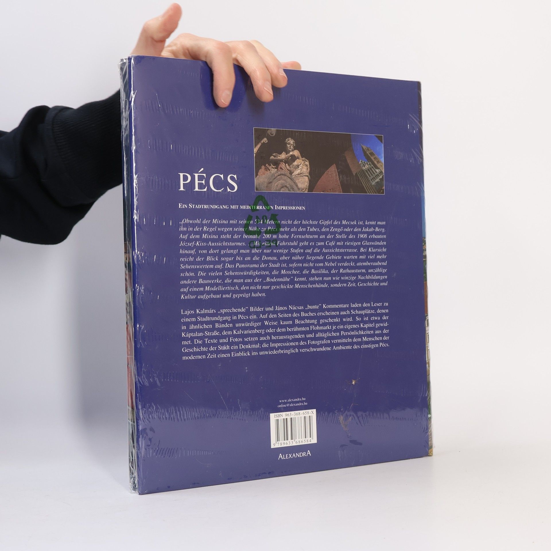 Lajos Kalmár Pécs