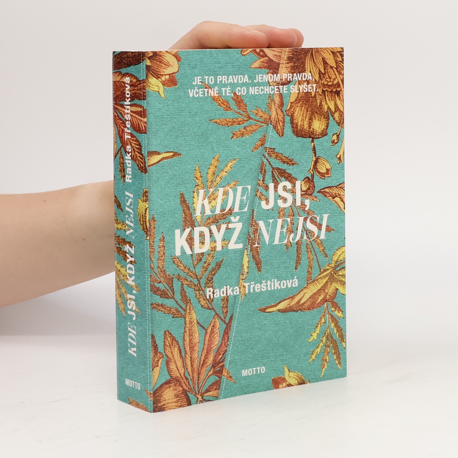 Radka Třeštíková Kde jsi, když nejsi