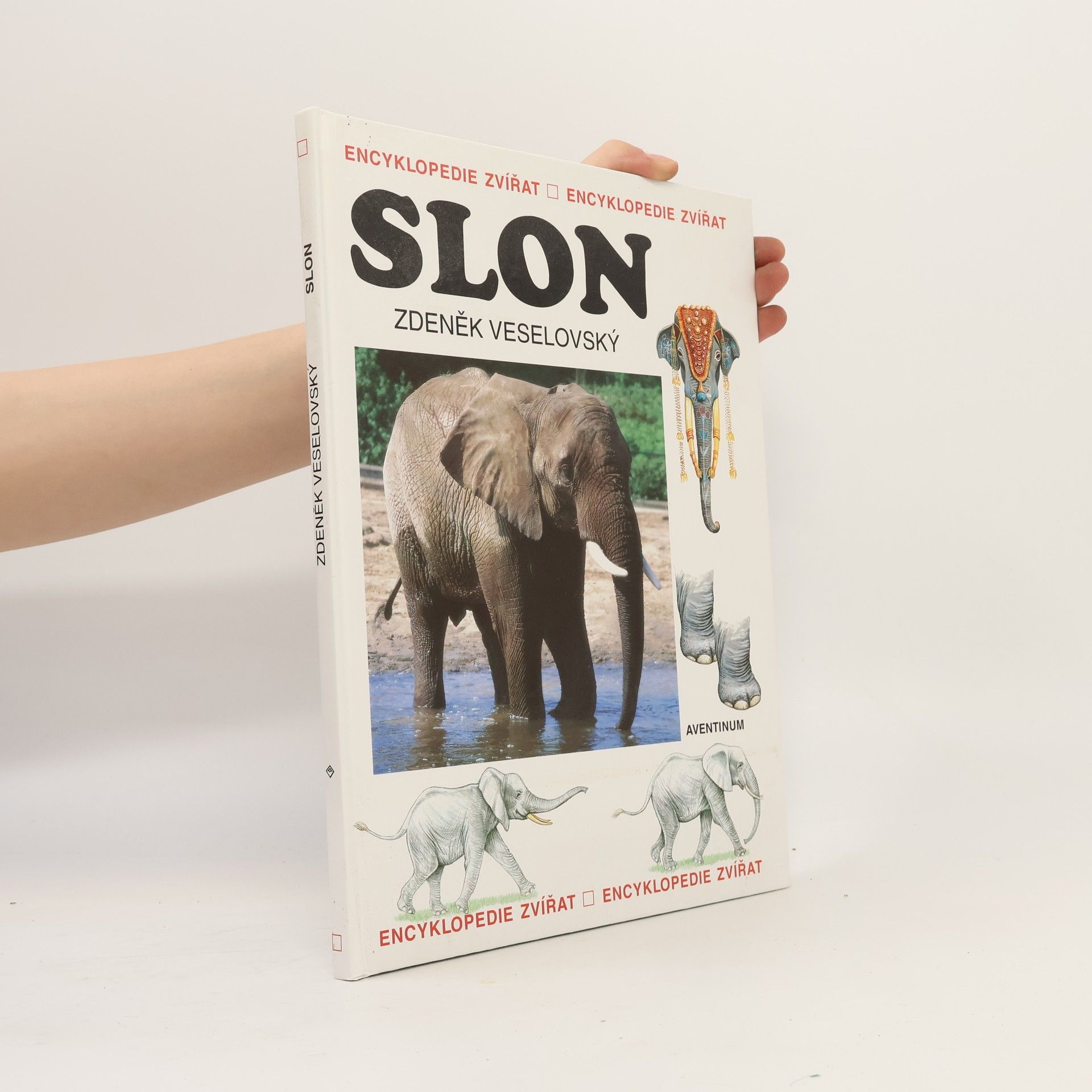 Zdeněk Veselovský Slon