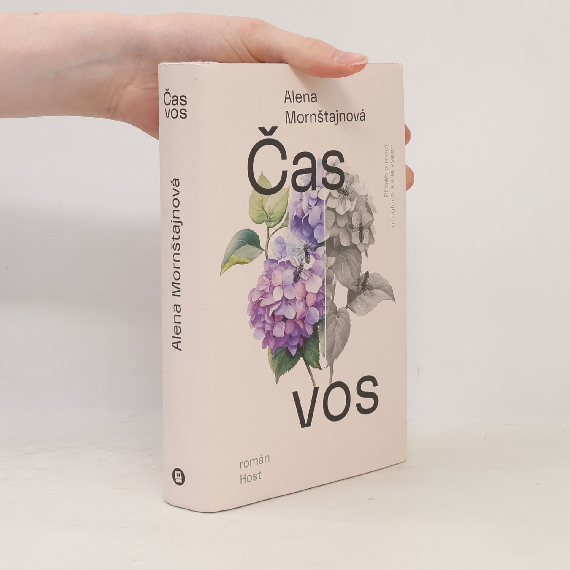Alena Mornštajnová Čas vos