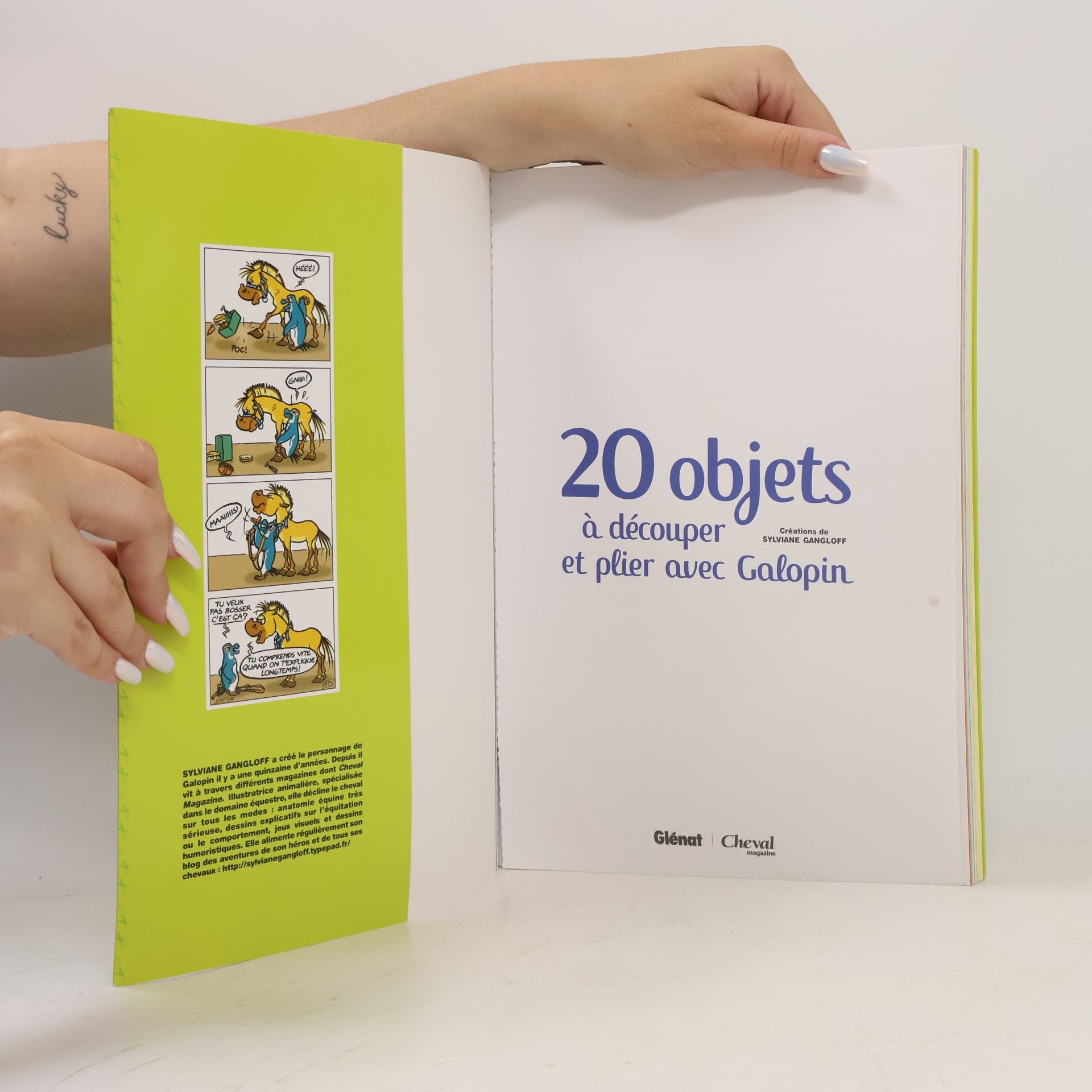 Sylviane Gangloff 20 objets à découper et plier avec Galopin