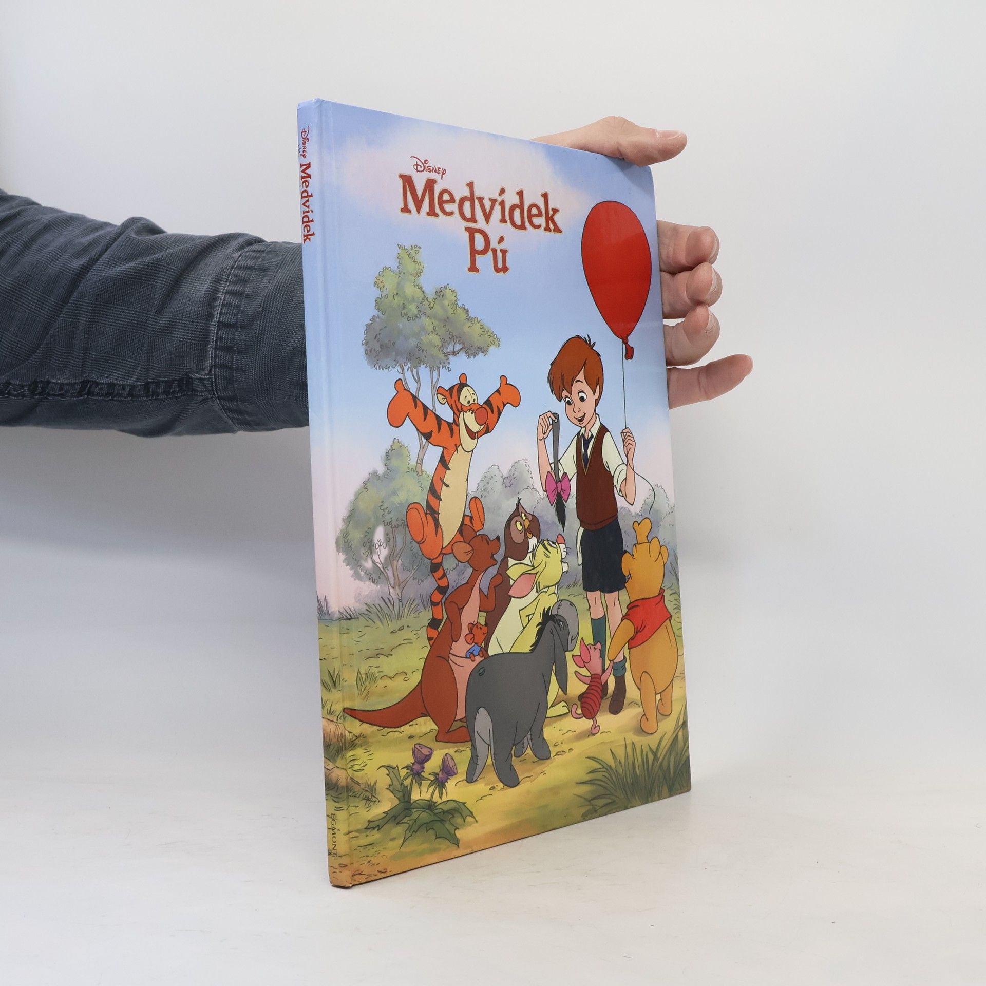 Collectif d'auteurs Medvídek Pú