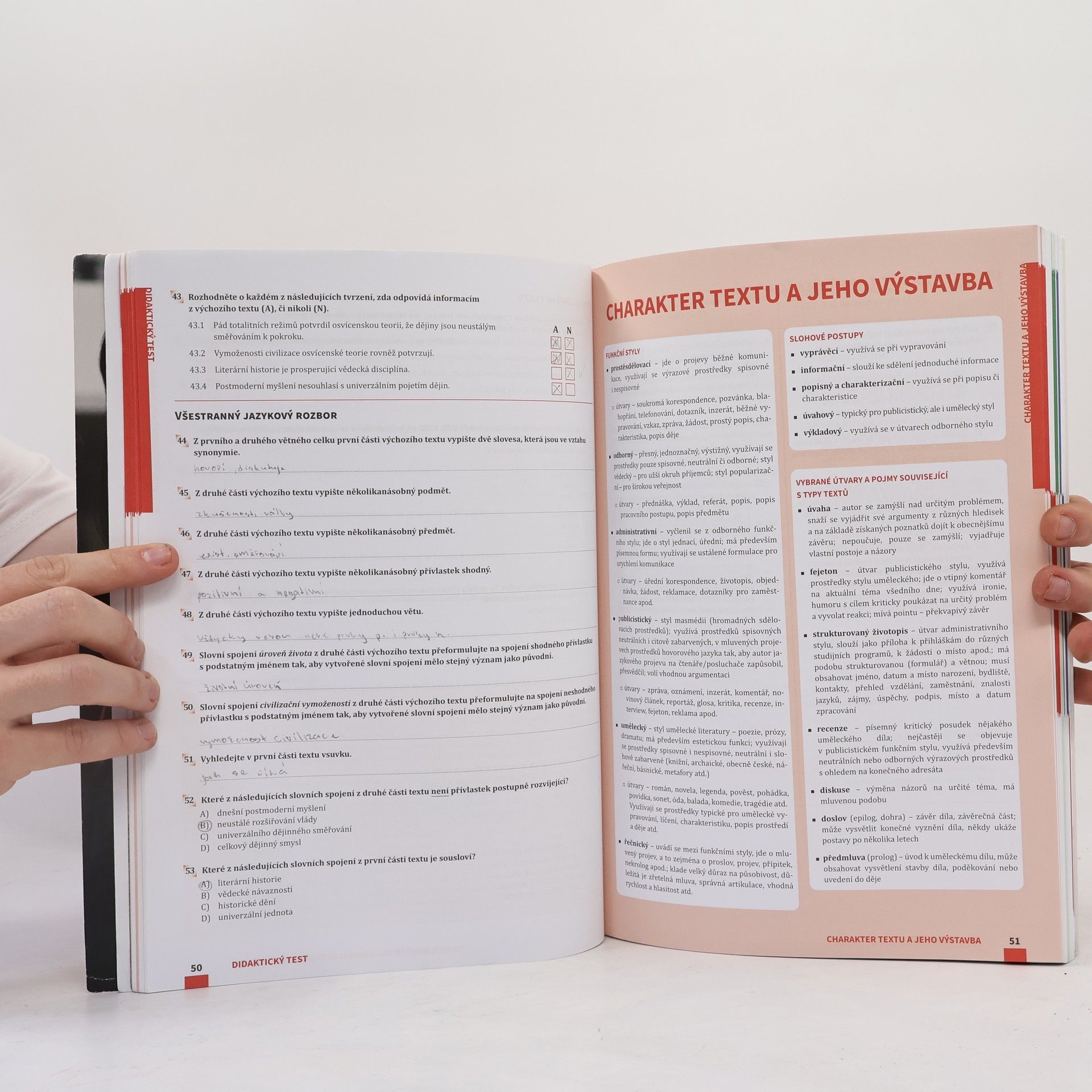 Various authors Maturita v pohodě. Český jazyk a literatura