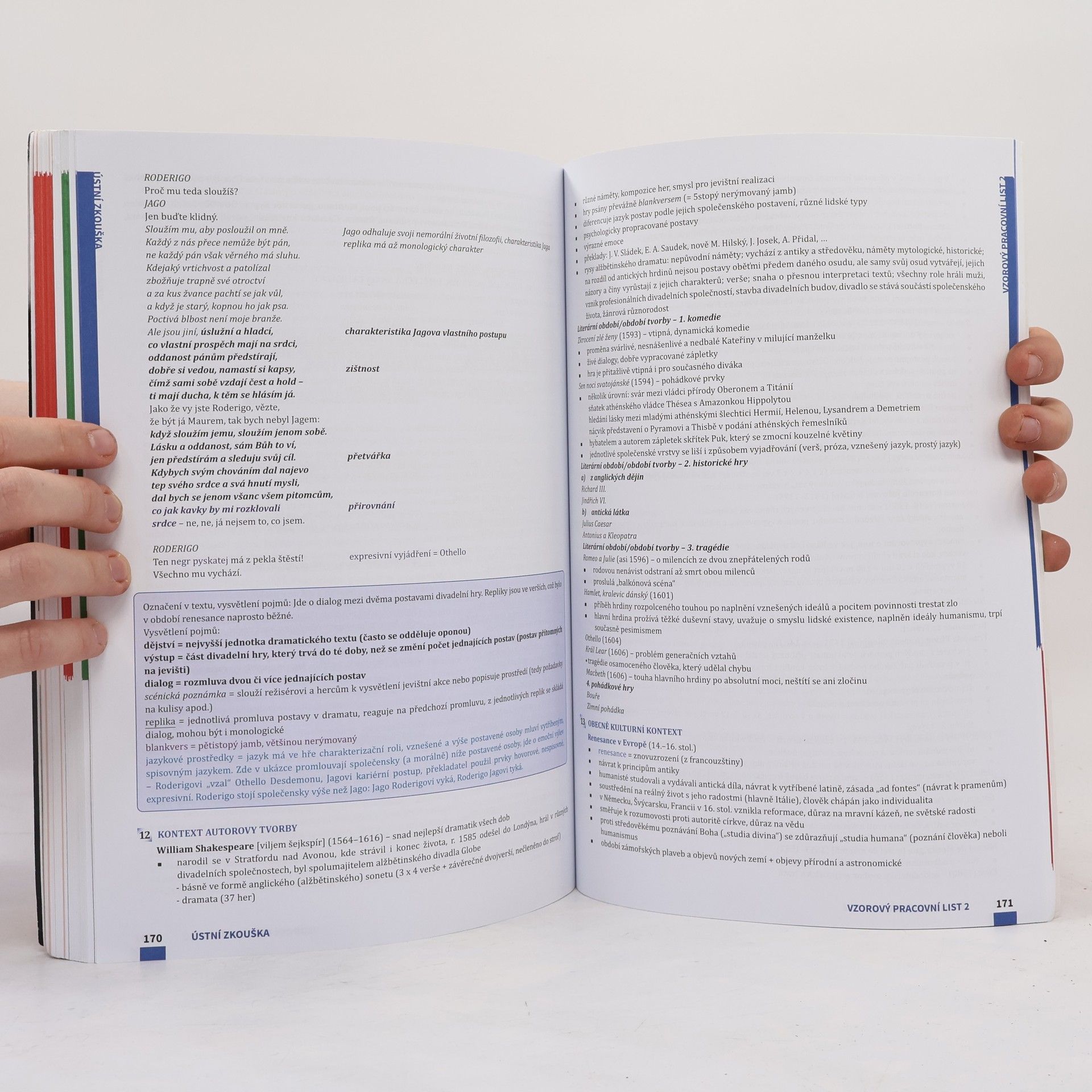 Various authors Maturita v pohodě. Český jazyk a literatura