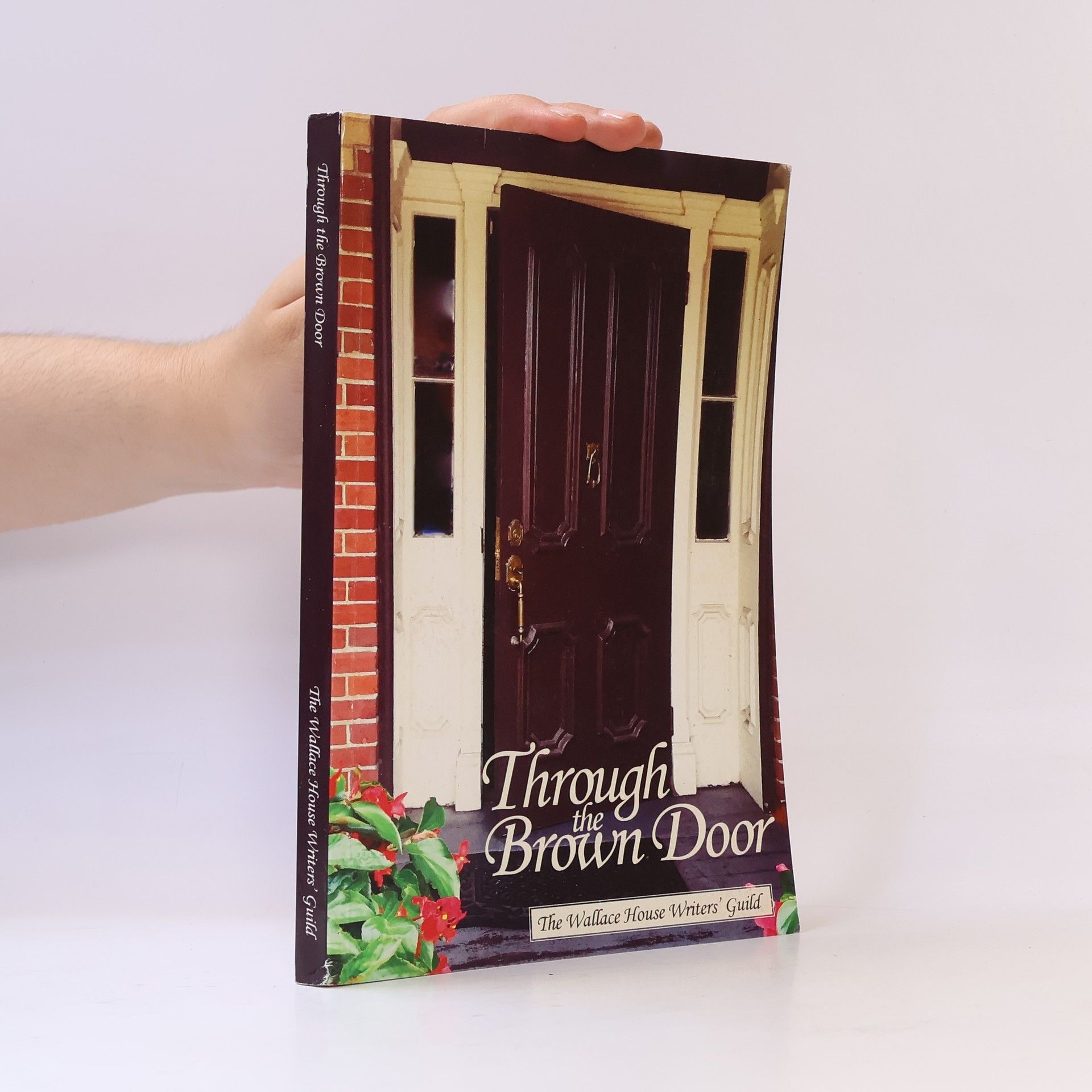 Kolektiv autorů Through the Brown Door
