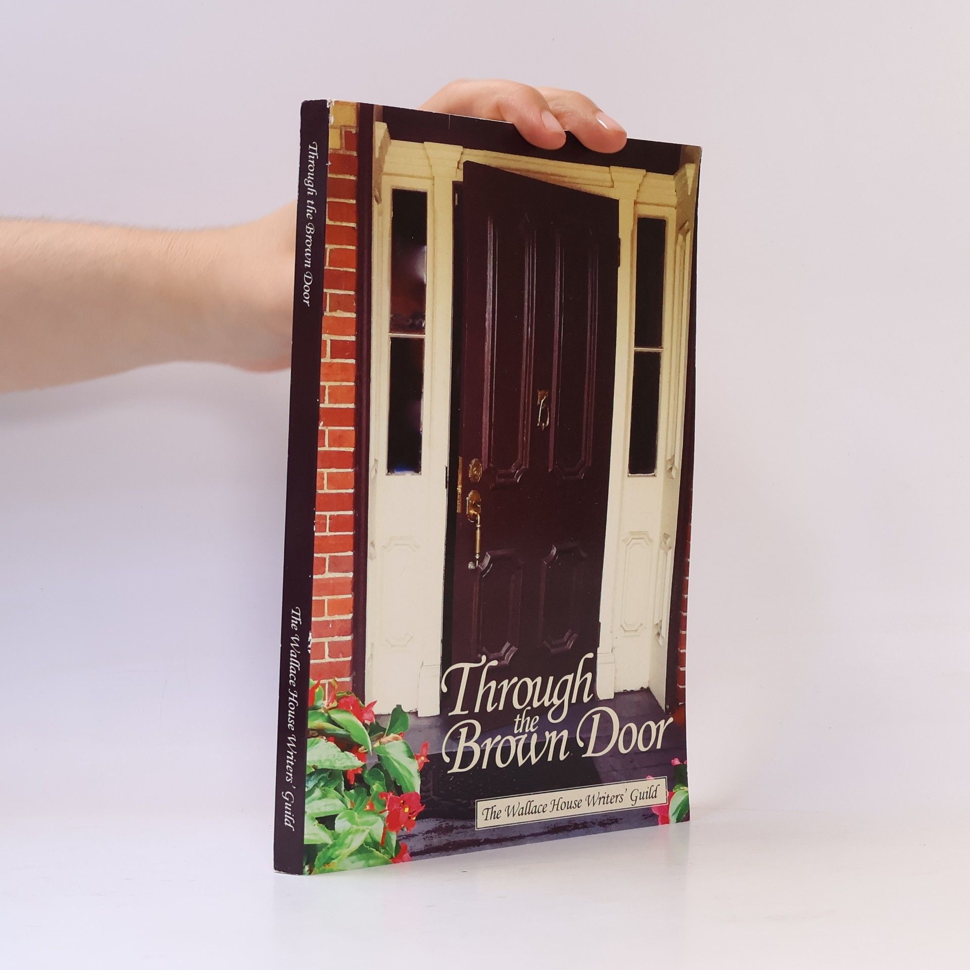 Kolektiv autorů Through the Brown Door