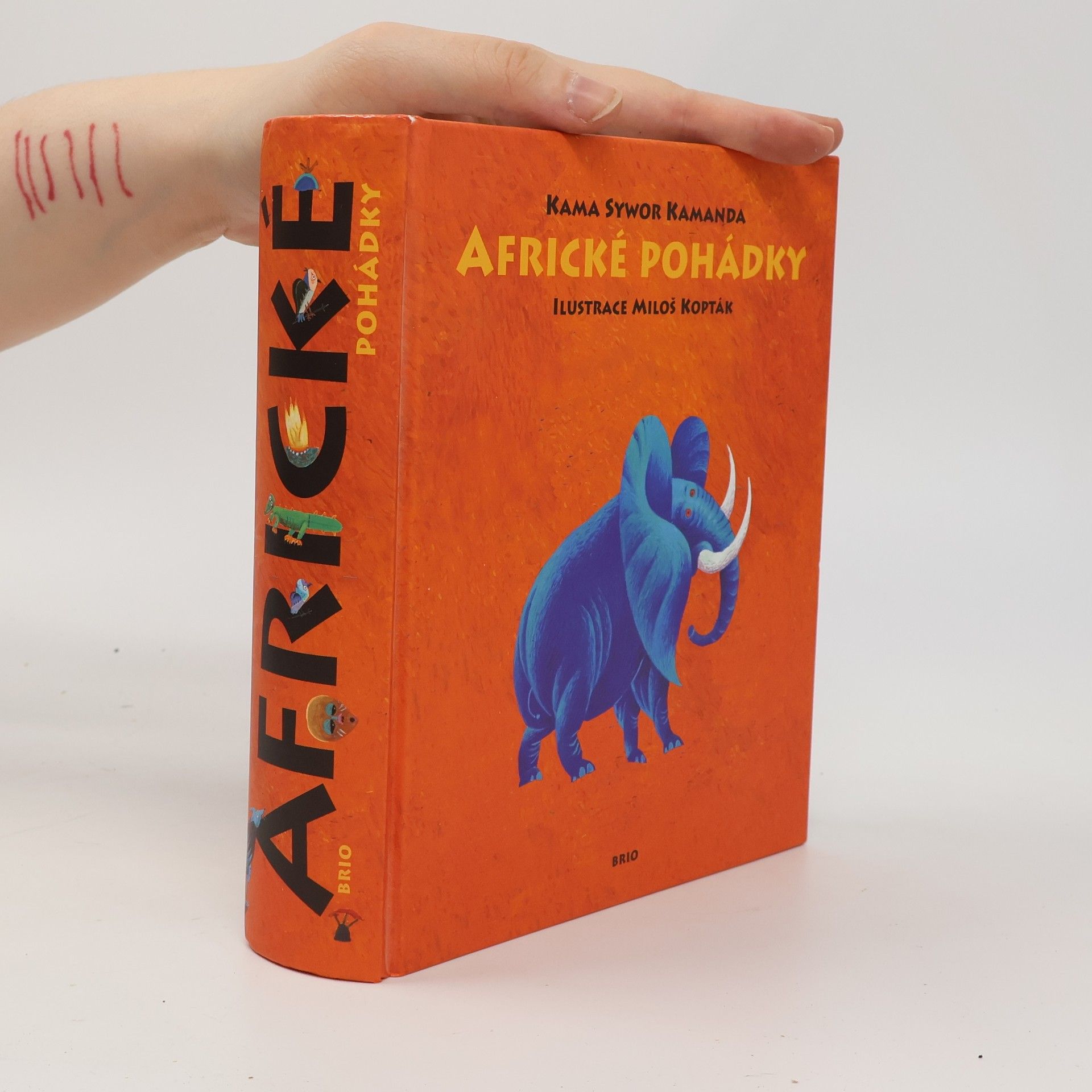 Kama Sywor Kamanda Africké pohádky