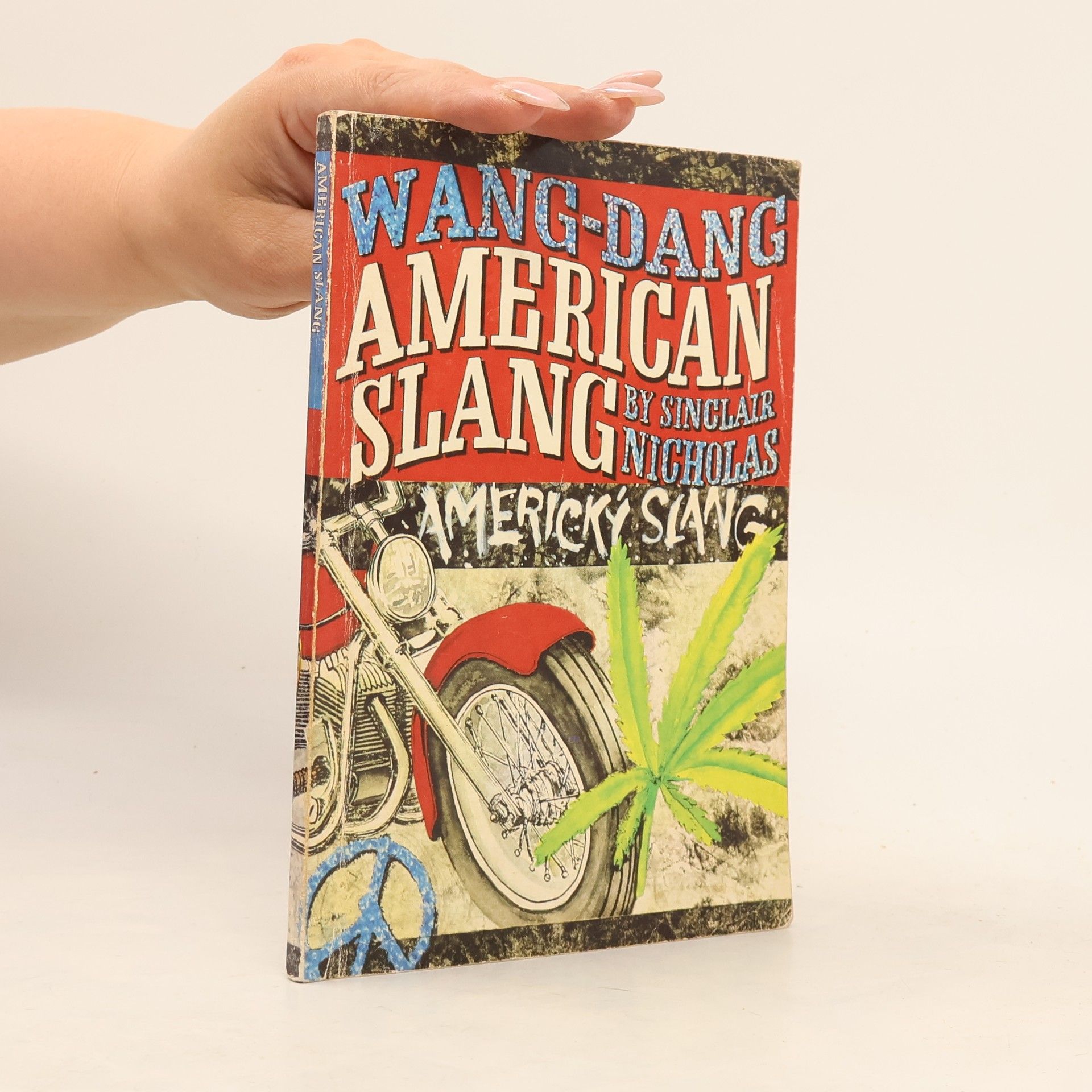 Sinclair Nicholas Wang-Dang American Slang. Americký slang