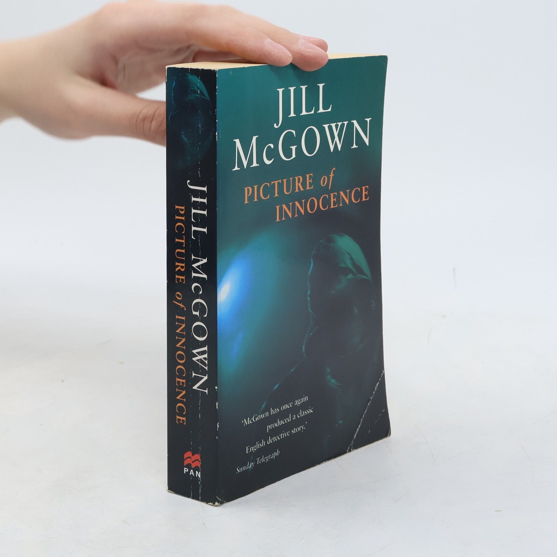 Jill McGown Picture of Innocence