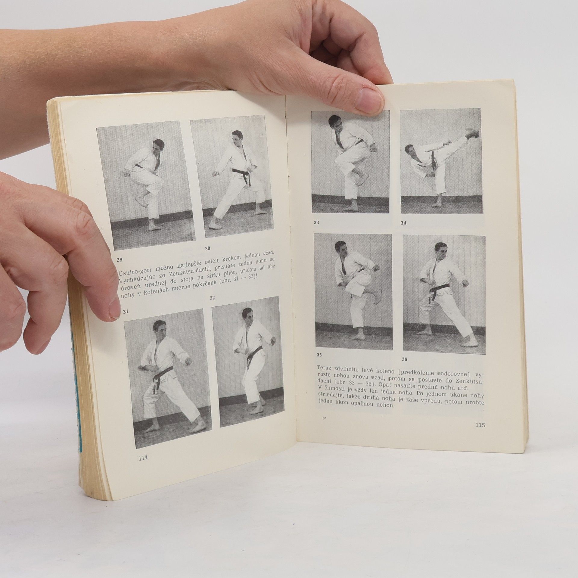 Vojtech L. Levský Základy karate I. diel
