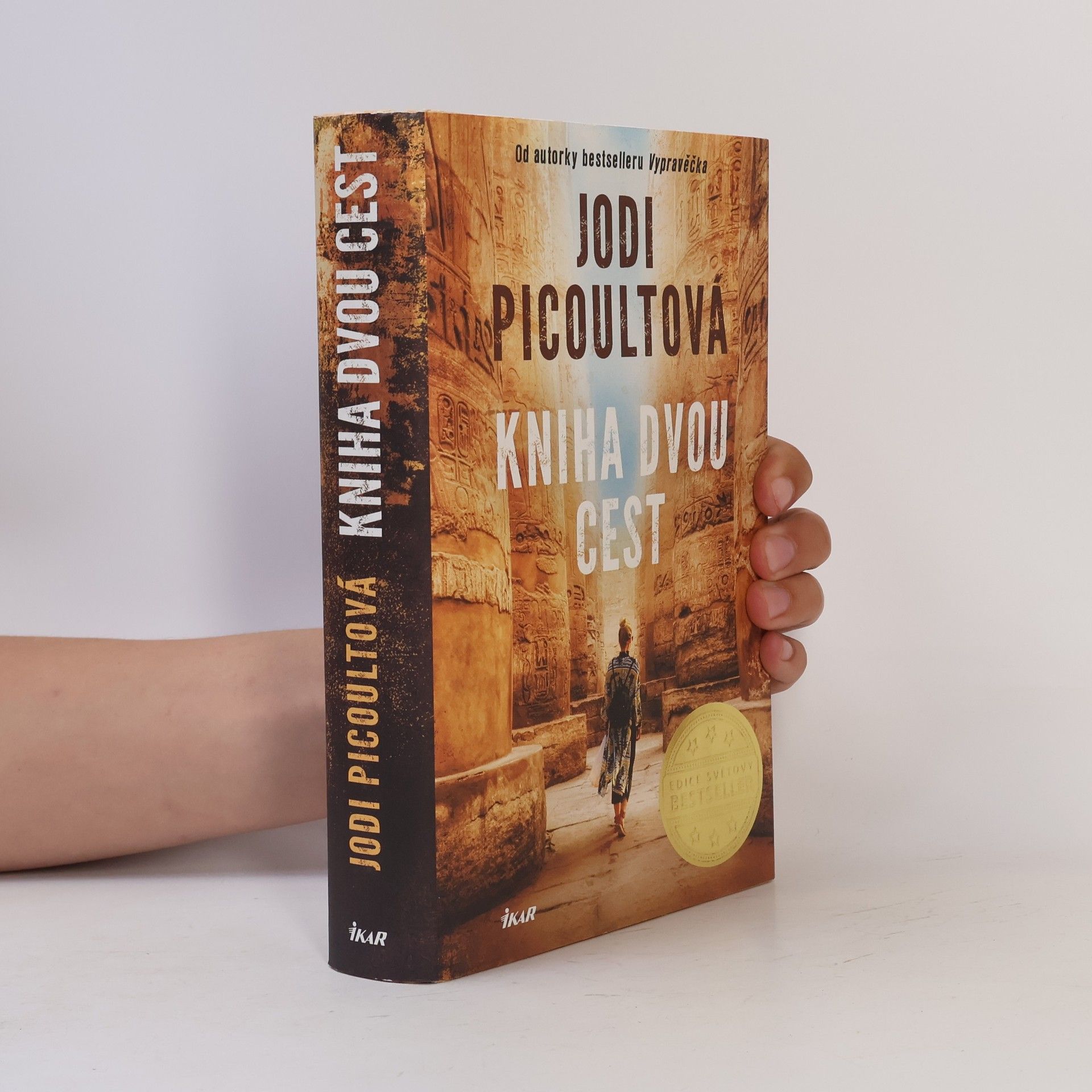 Jodi Picoult Kniha dvou cest