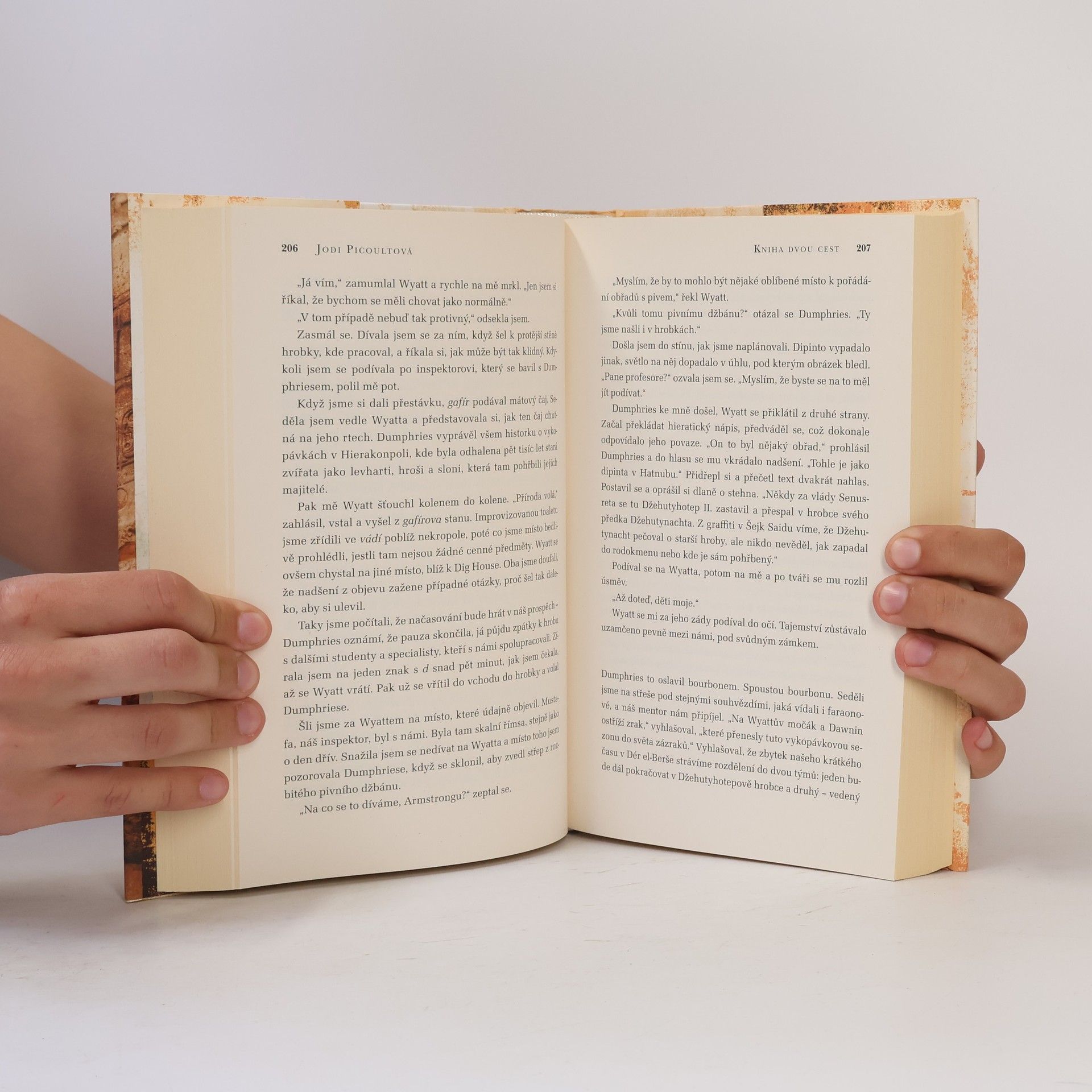 Jodi Picoult Kniha dvou cest