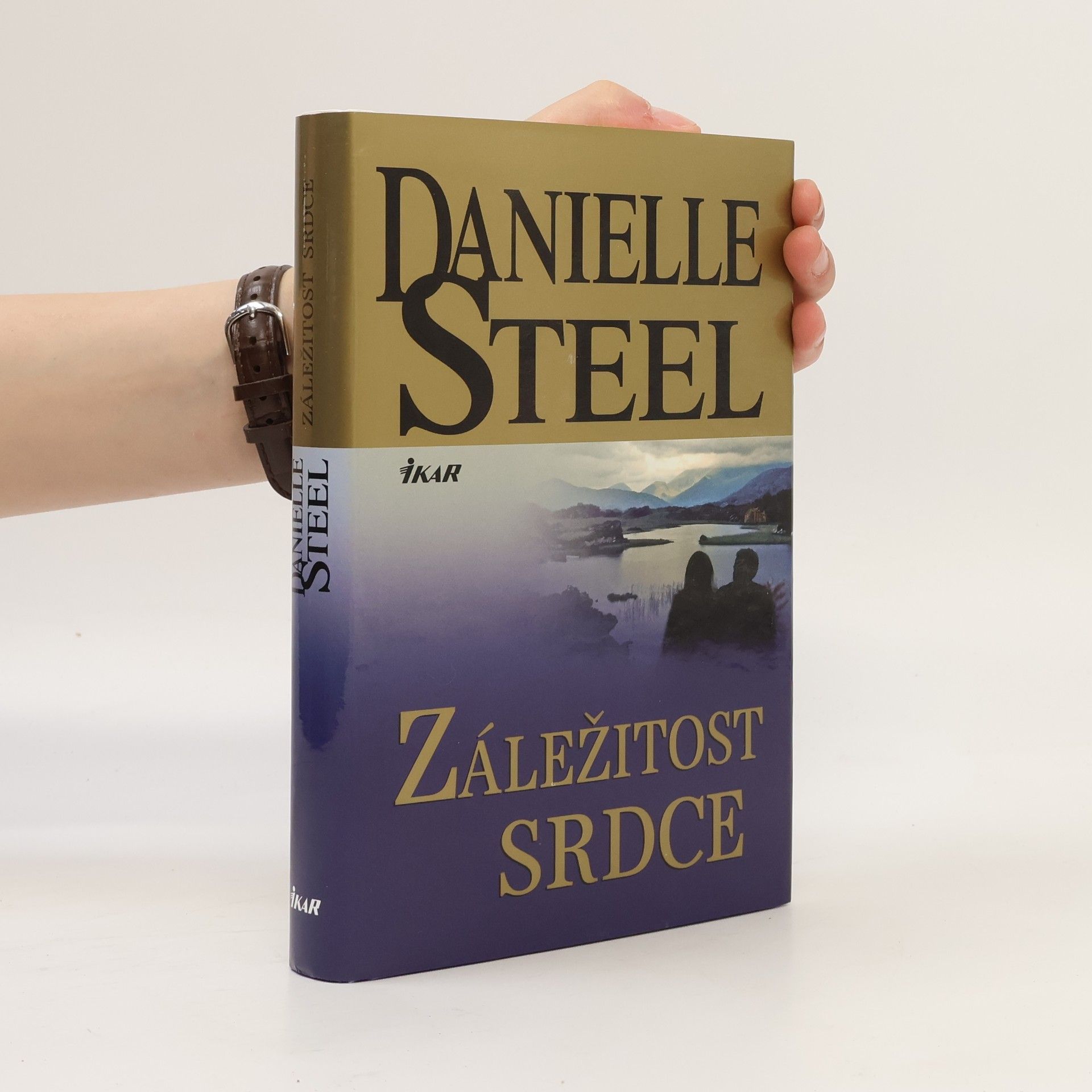 Danielle Steel Záležitost srdce