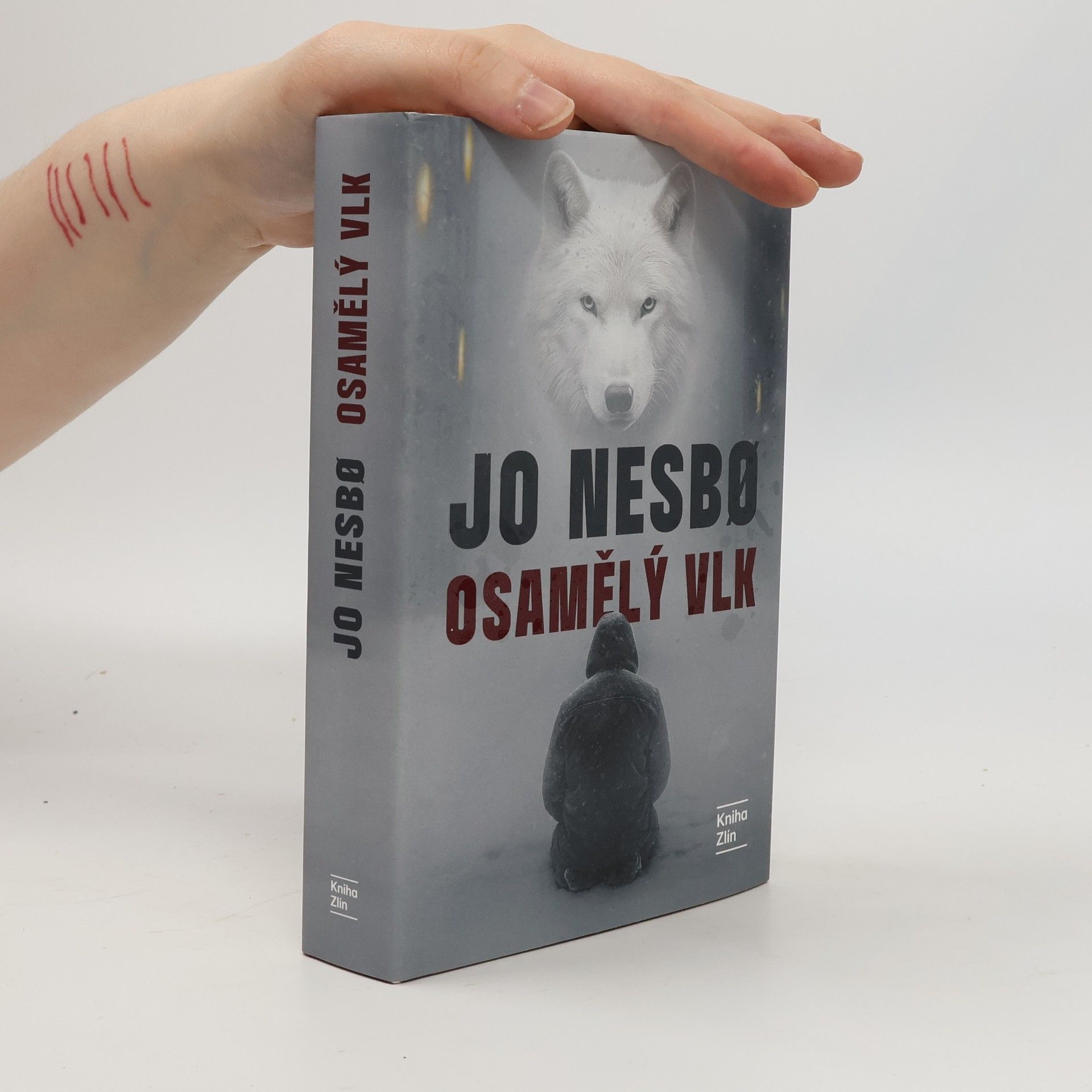 Kateřina Krištůfková Osamělý vlk