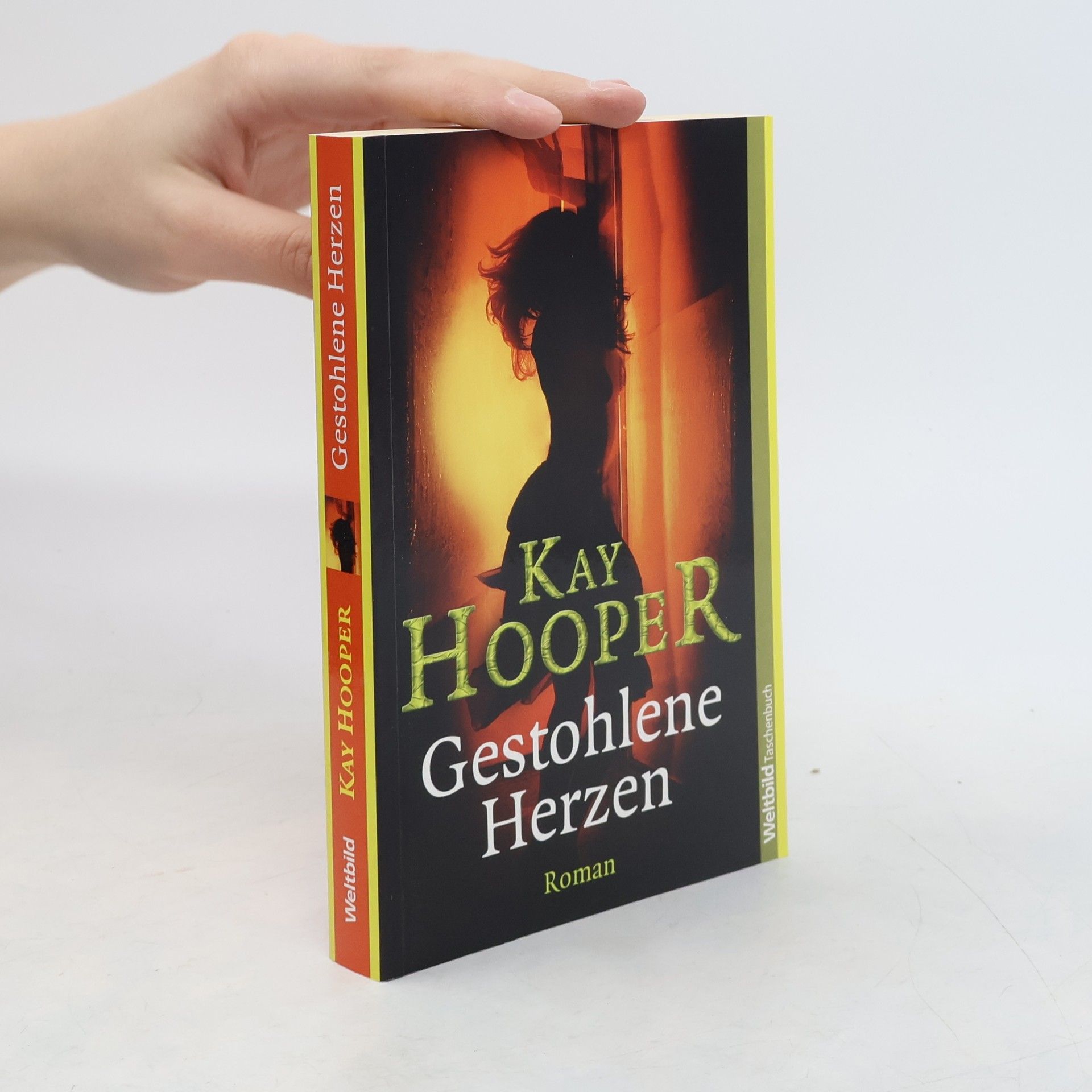 Kay Hooper Gestohlene Herzen