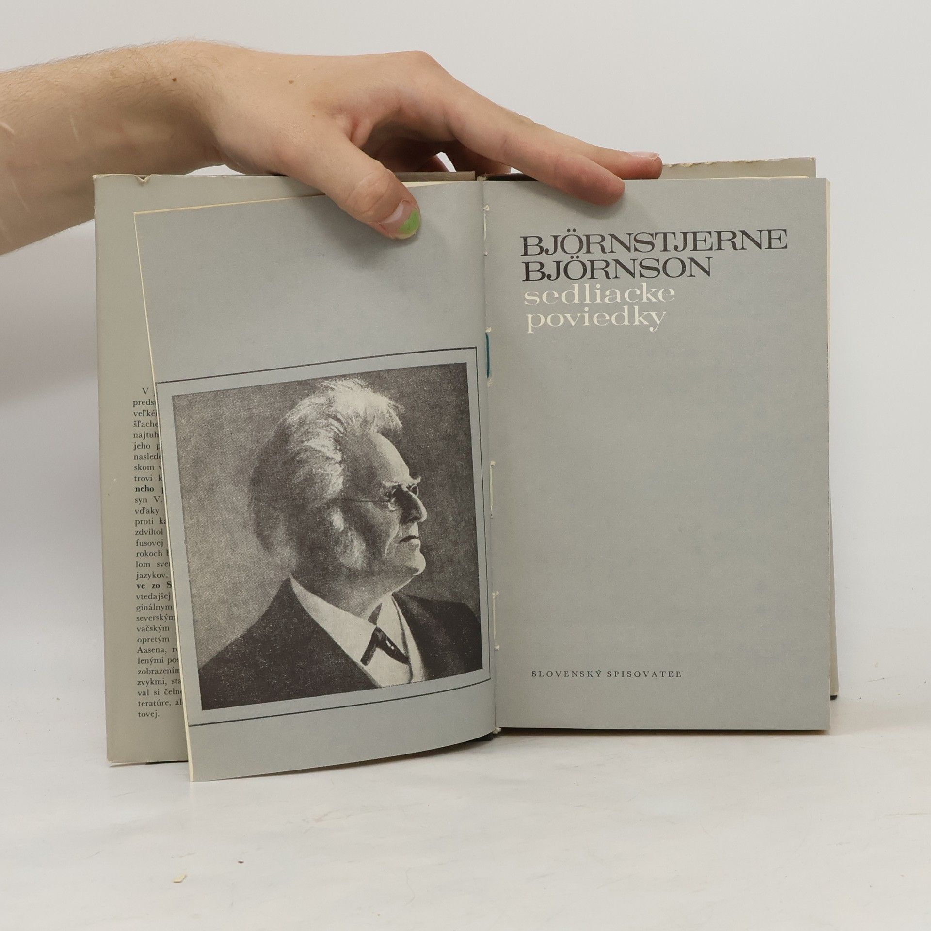 Bjørnstjerne Bjørnson Sedliacke poviedky