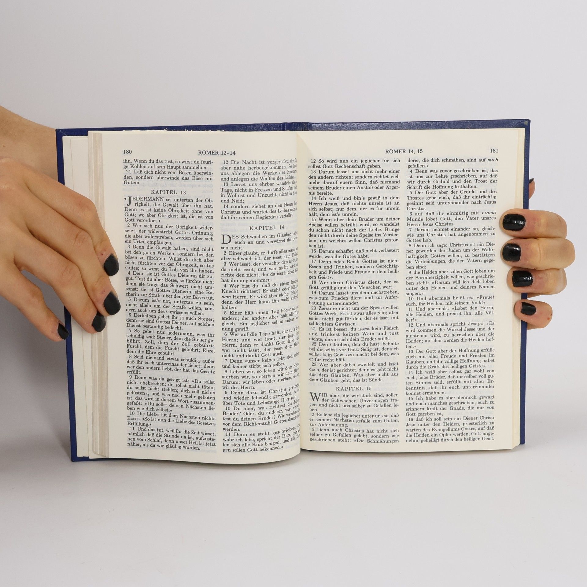 Kolektív autorov Neues Testament und Psalmen