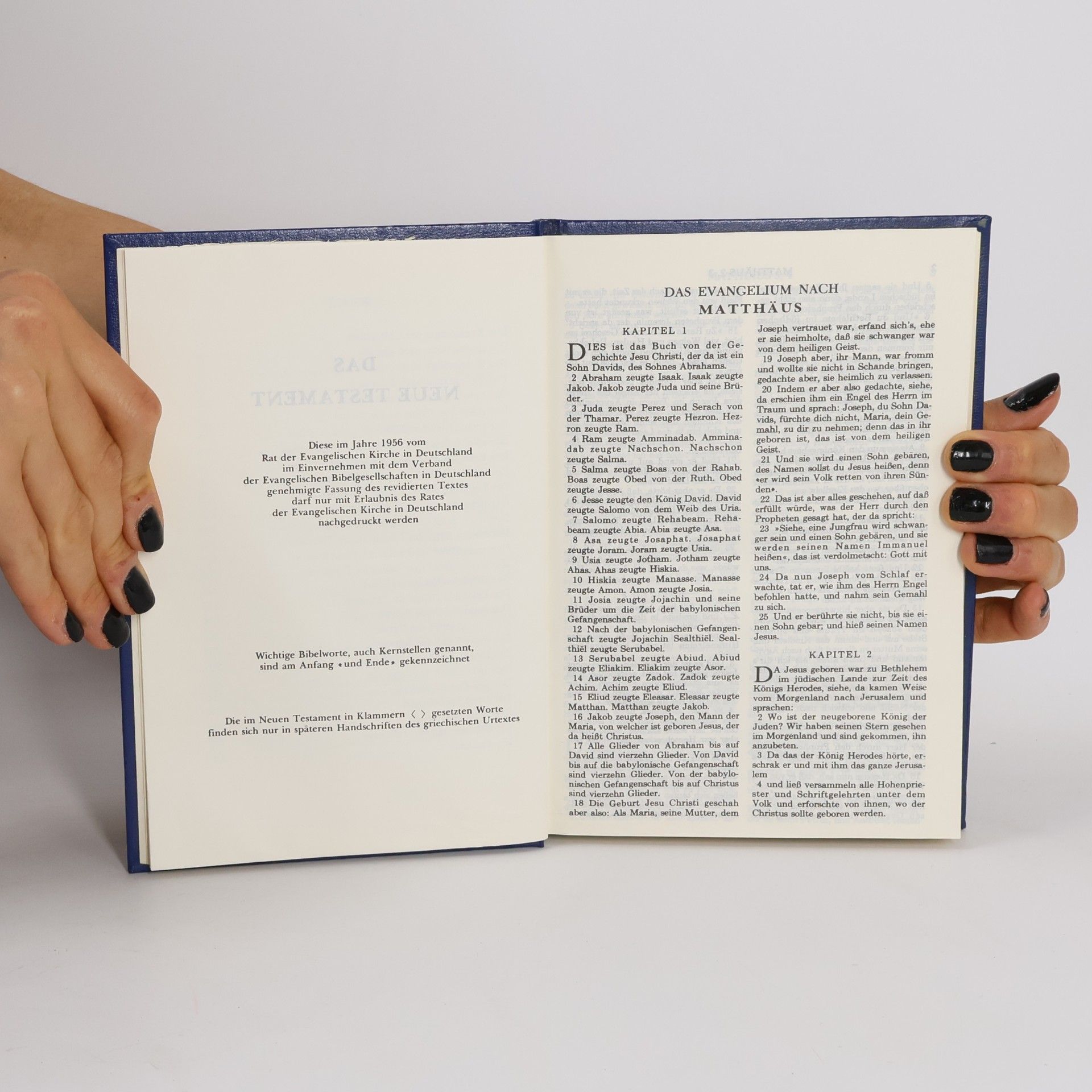 Kolektív autorov Neues Testament und Psalmen