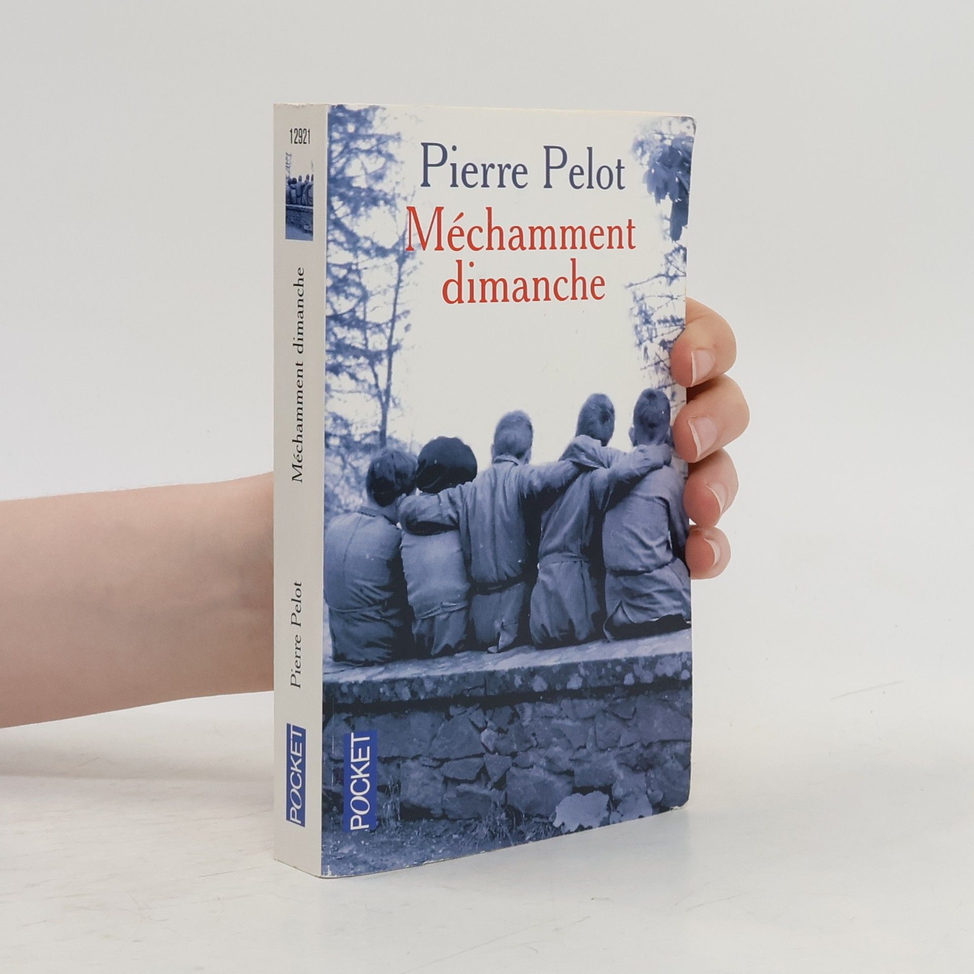 Pierre Pelot Méchamment dimanche
